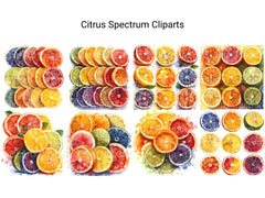 Citrus Spectrum Clipart - CraftNest - Digital Crafting and Art