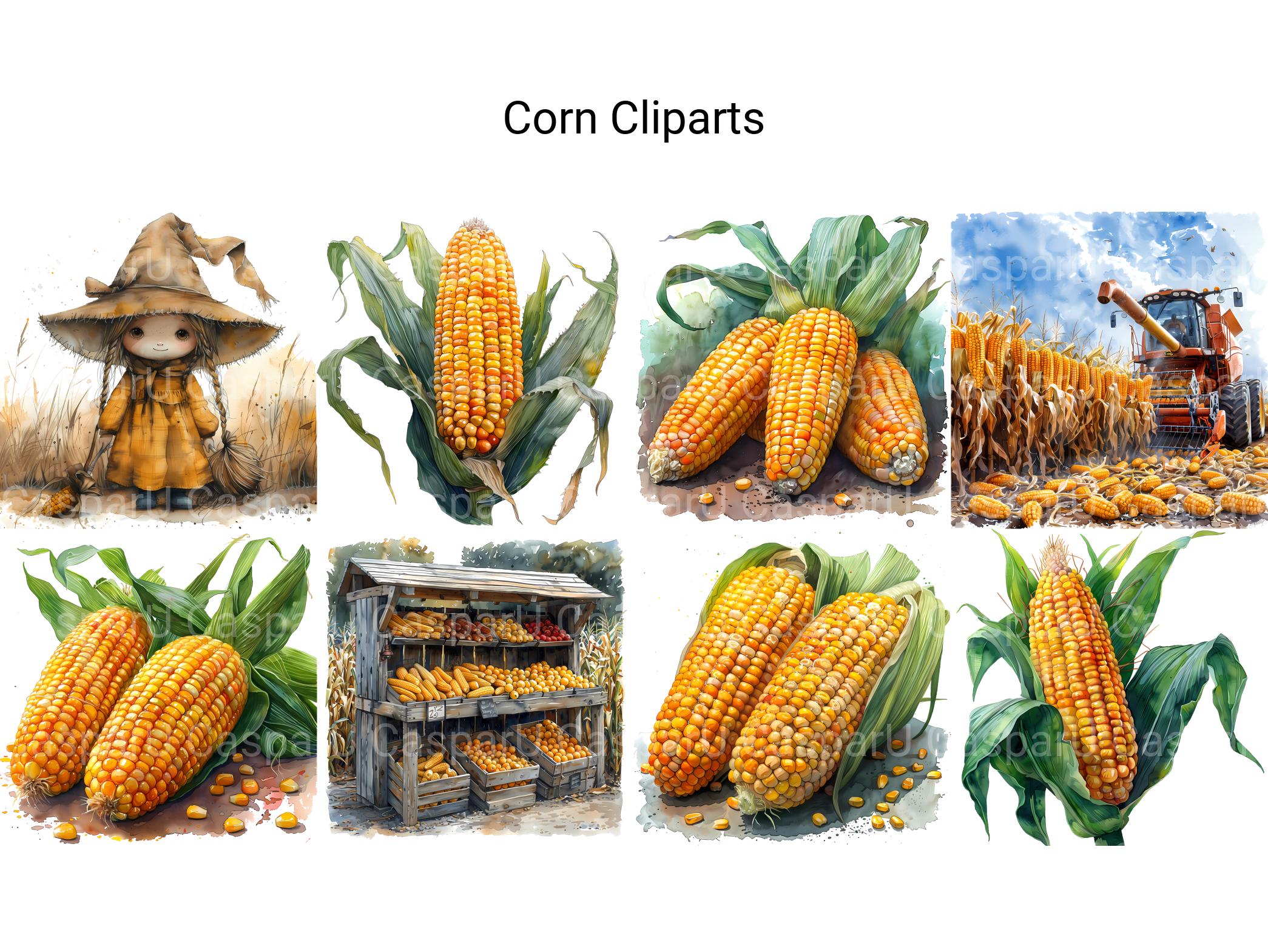 Corn Clipart - CraftNest - Digital Crafting and Art