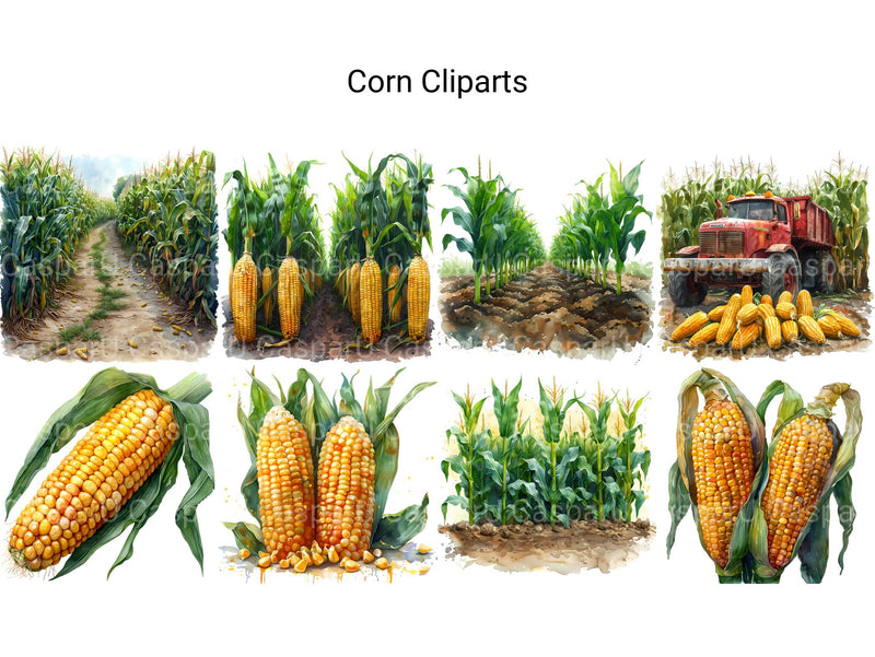 Corn Clipart - CraftNest - Digital Crafting and Art