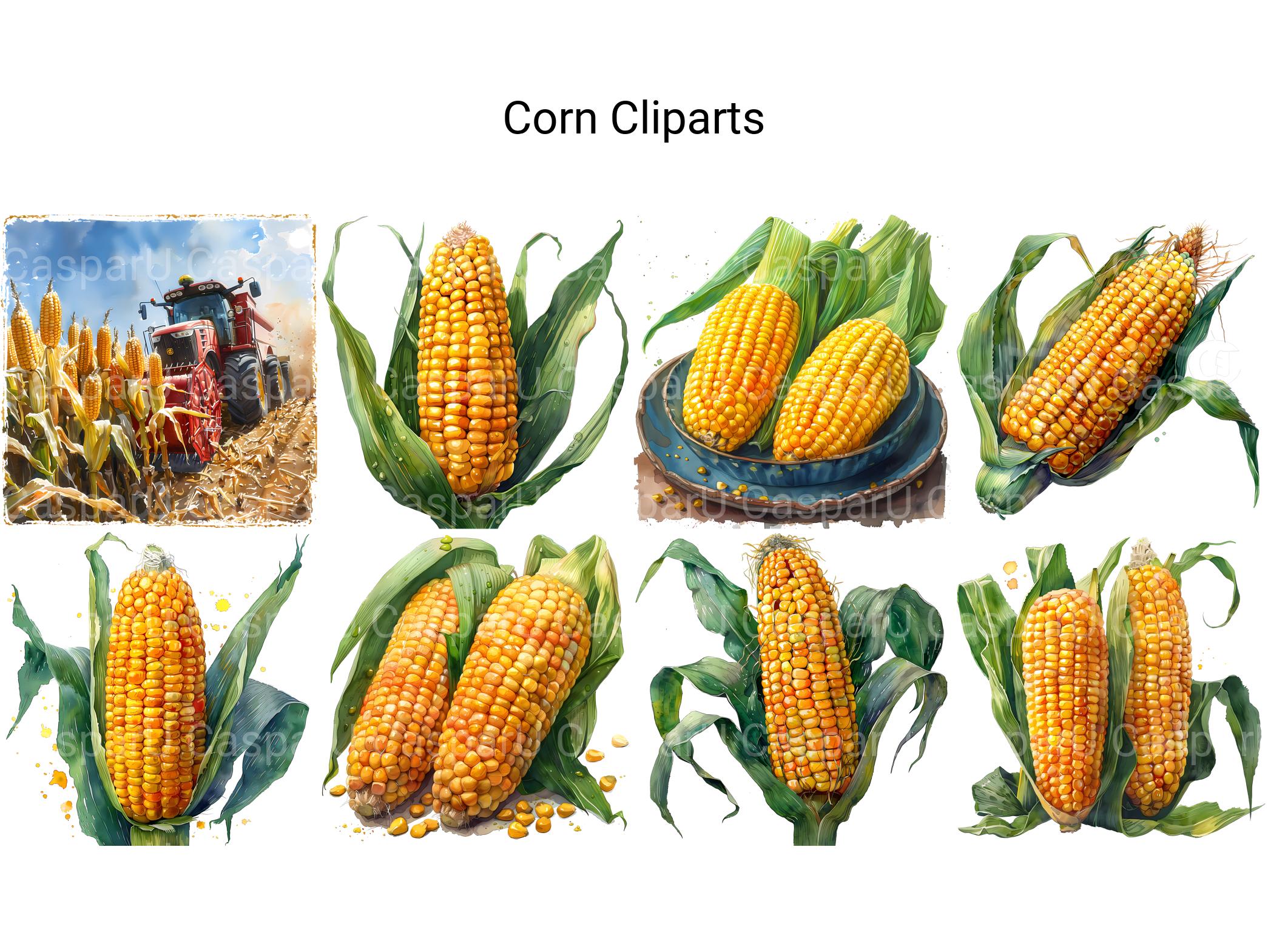 Corn Clipart - CraftNest - Digital Crafting and Art