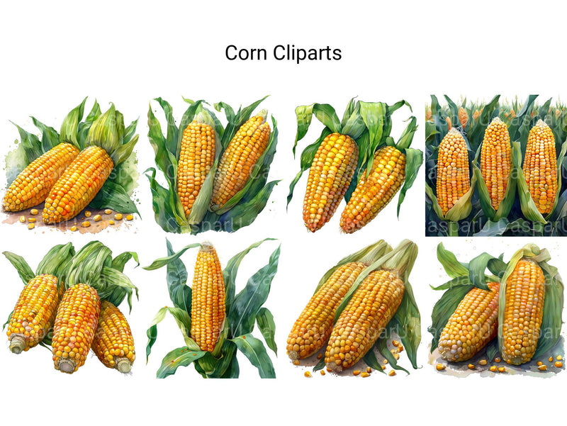 Corn Clipart - CraftNest - Digital Crafting and Art