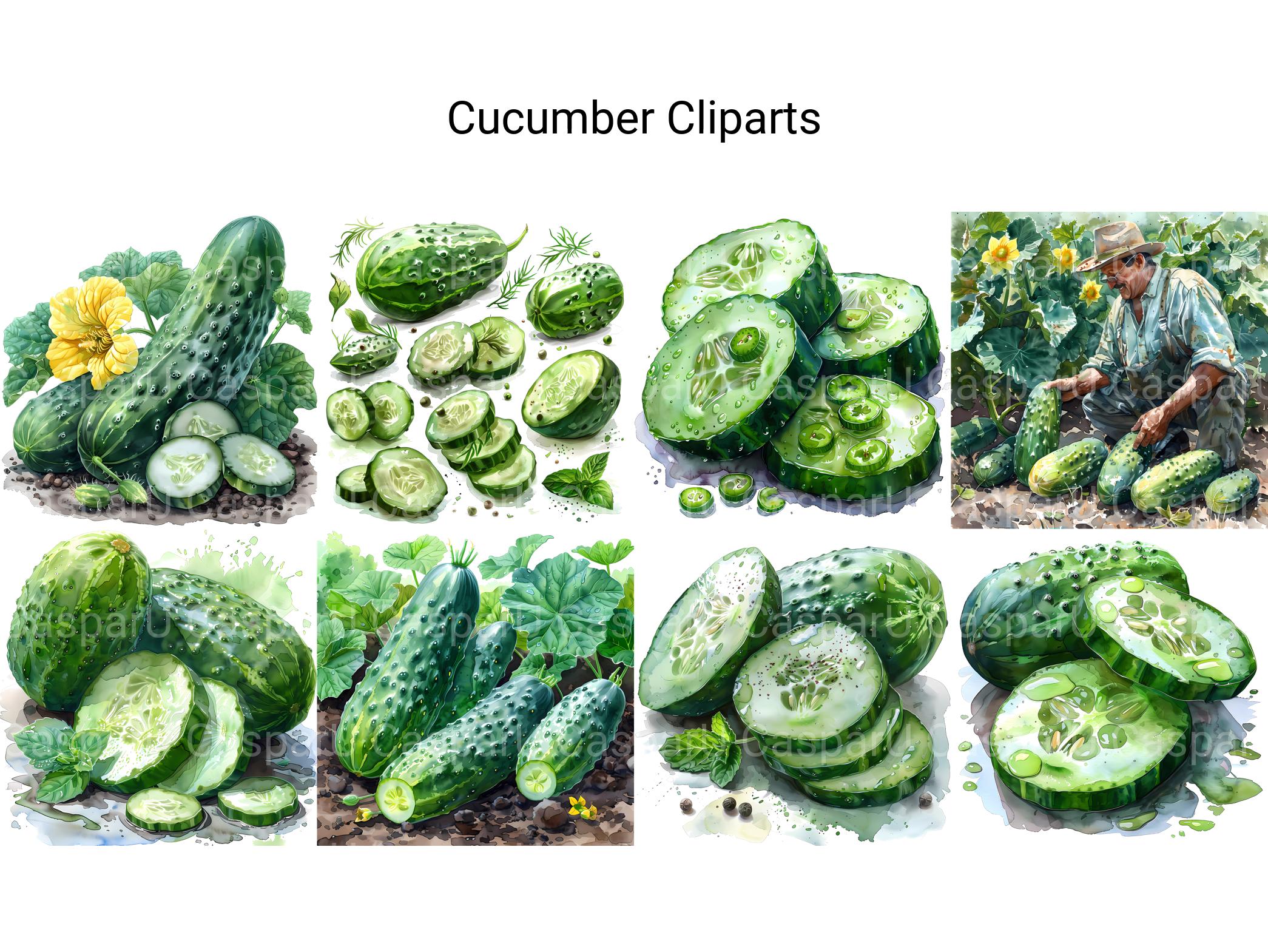 Cucumber Clipart - CraftNest - Digital Crafting and Art