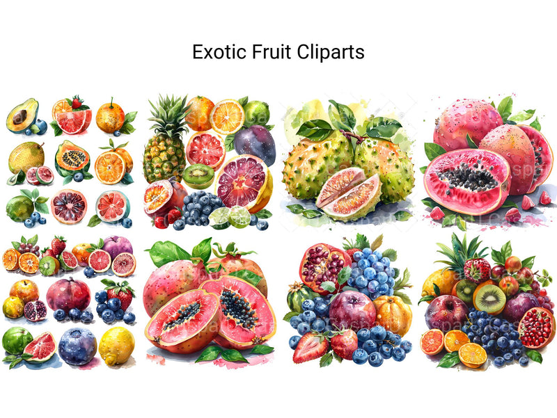 Exotic Fruit Clipart - CraftNest - Digital Crafting and Art