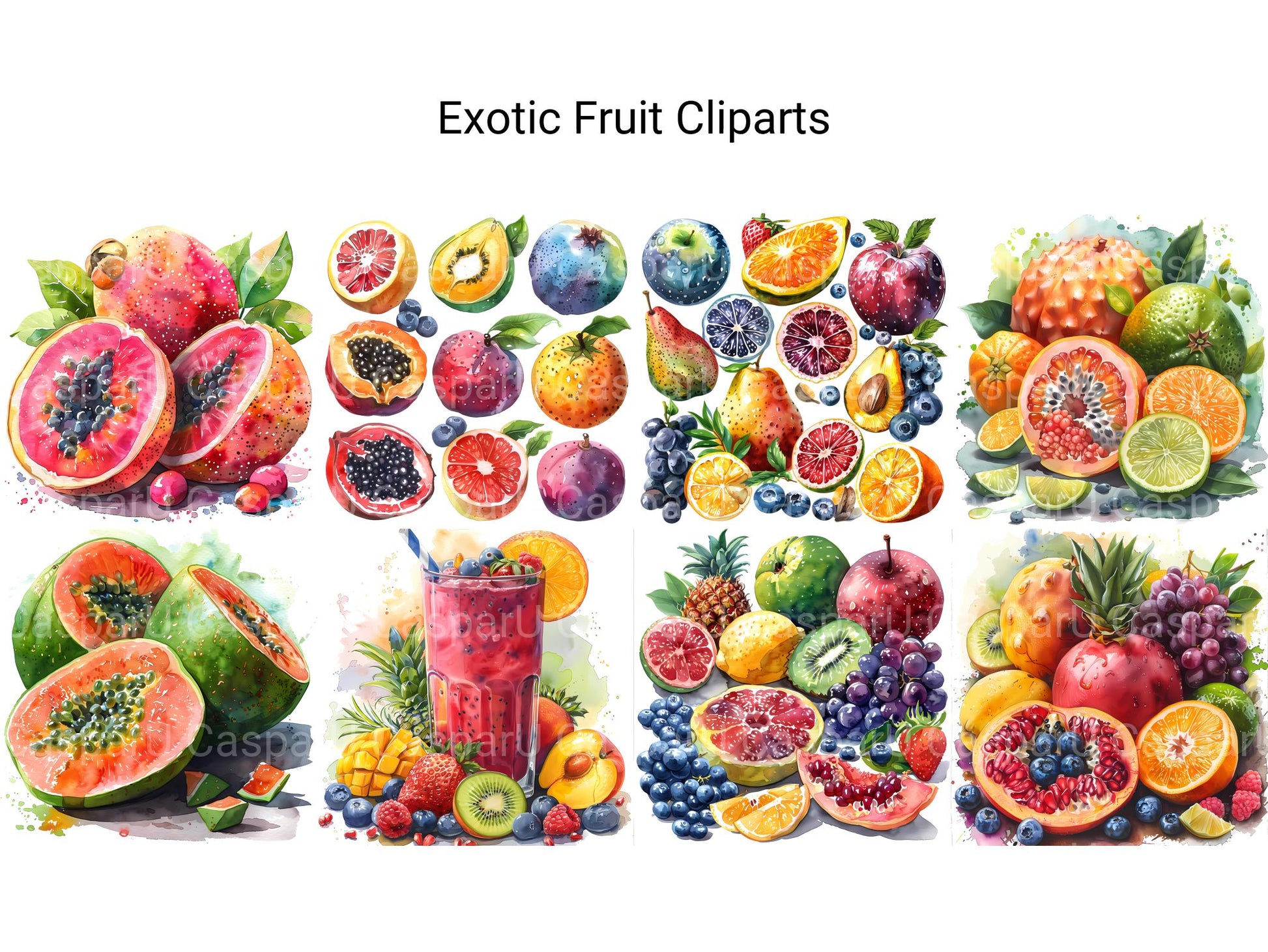 Exotic Fruit Clipart - CraftNest - Digital Crafting and Art