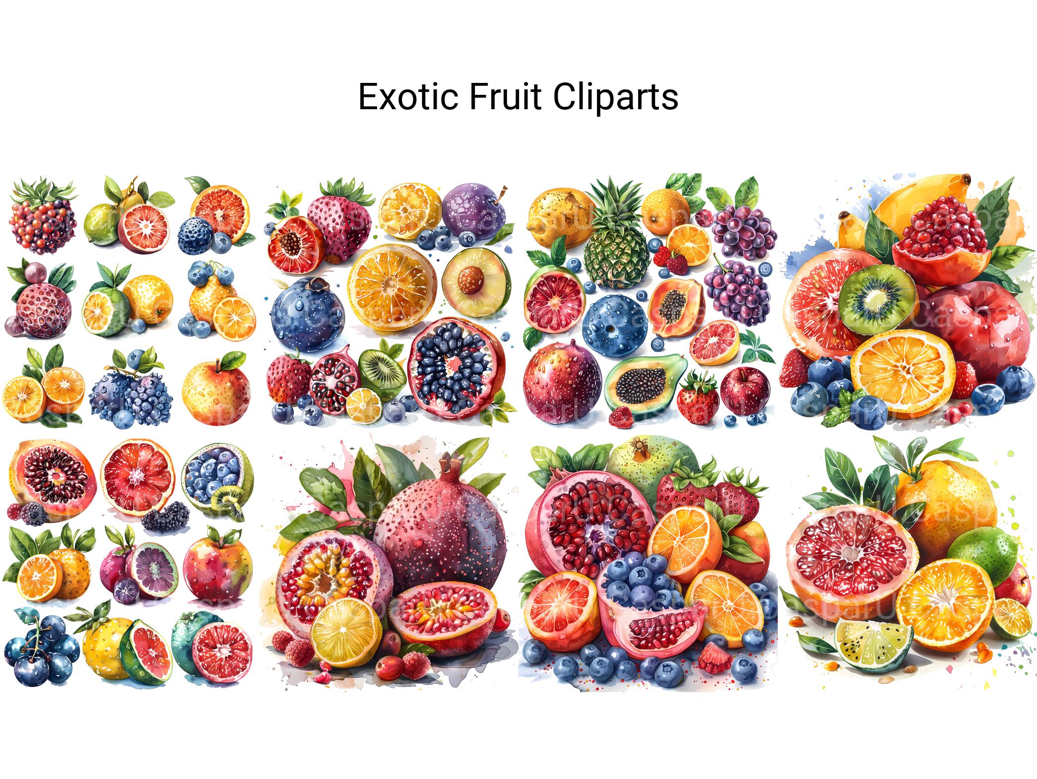 Exotic Fruit Clipart - CraftNest - Digital Crafting and Art