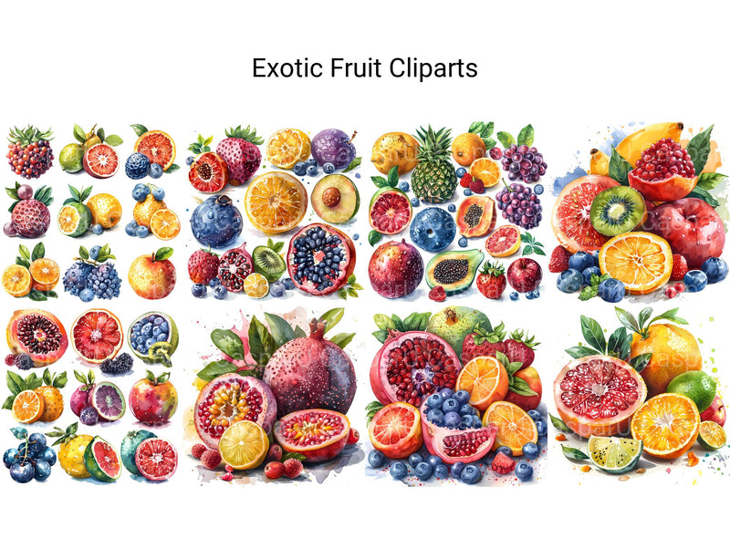 Exotic Fruit Clipart - CraftNest - Digital Crafting and Art