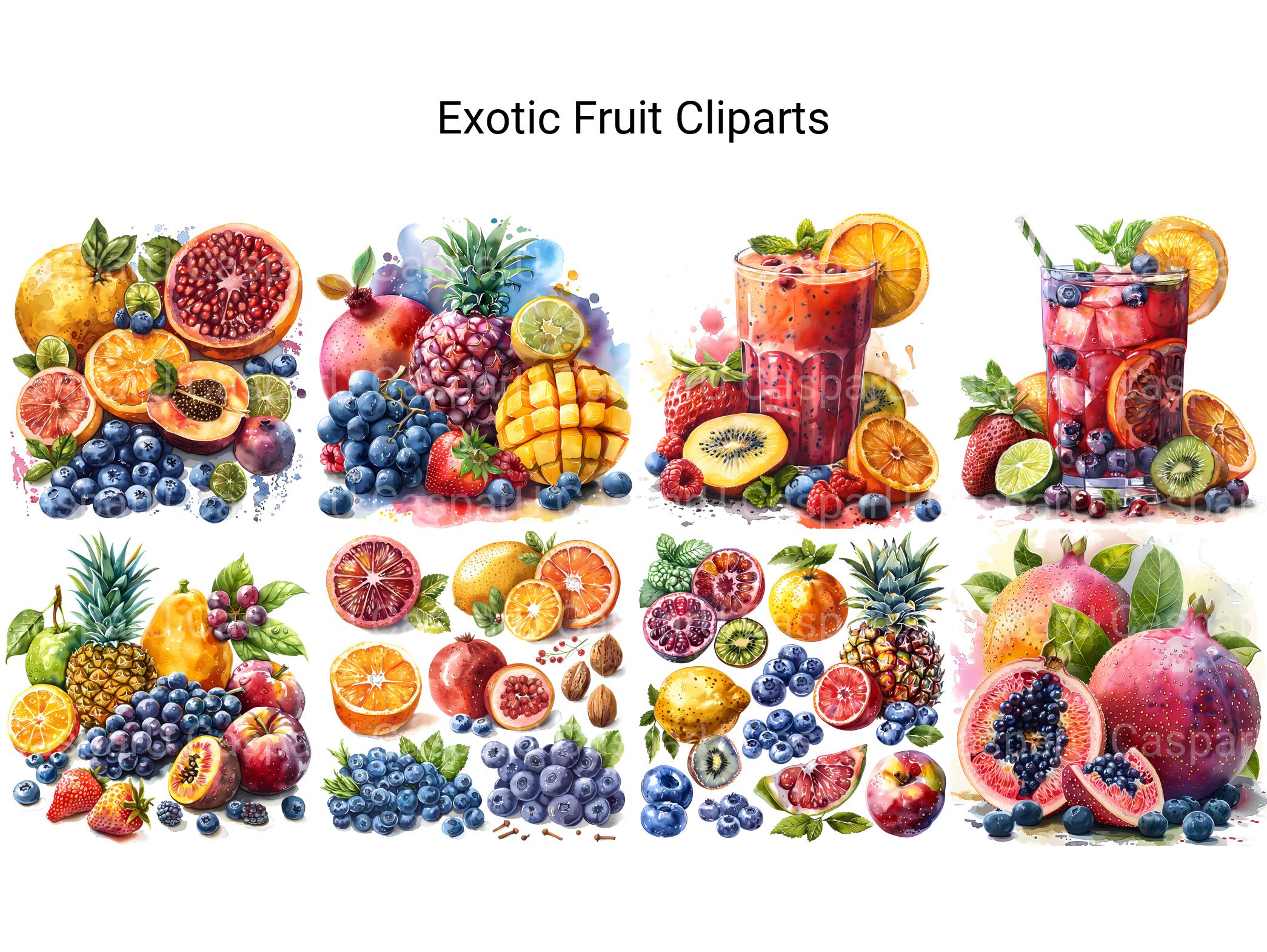 Exotic Fruit Clipart - CraftNest - Digital Crafting and Art