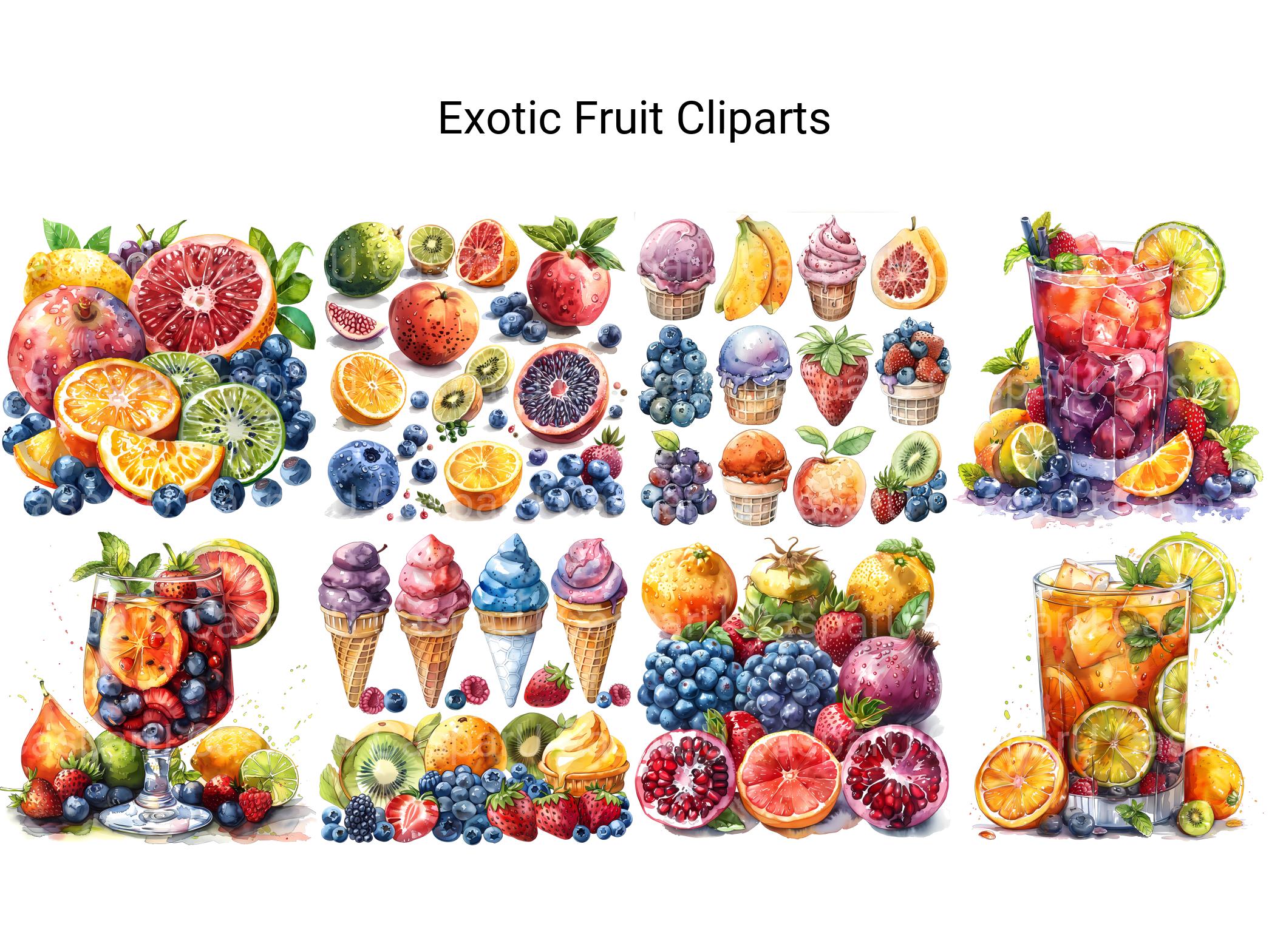 Exotic Fruit Clipart - CraftNest - Digital Crafting and Art