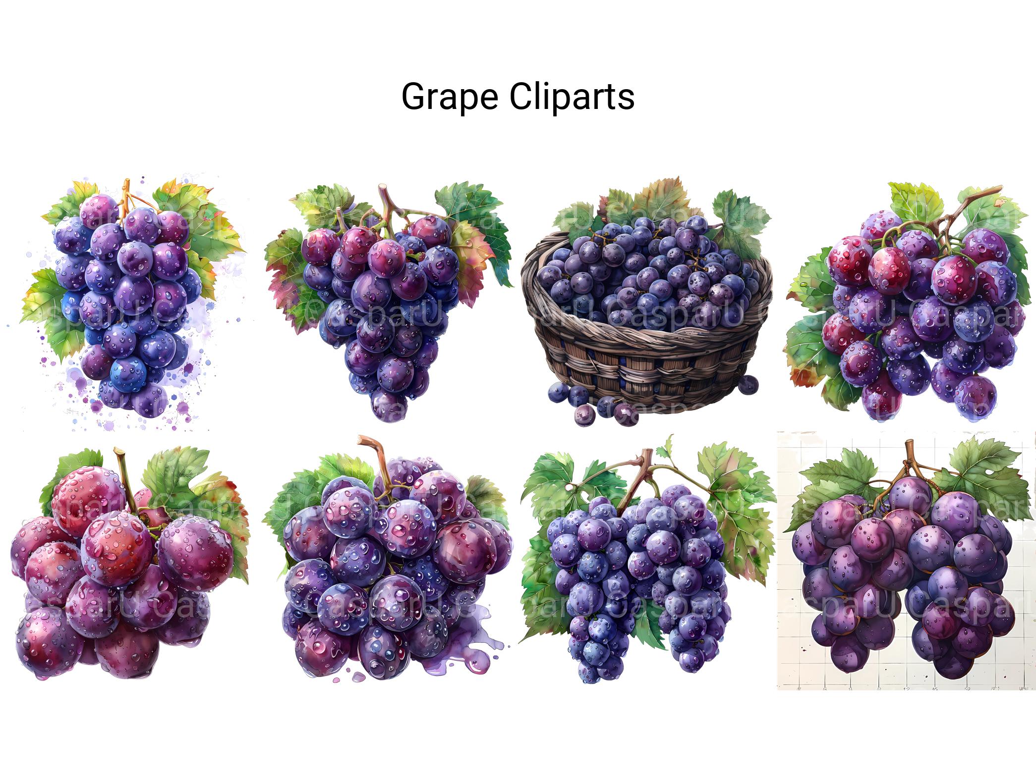 Grape Clipart - CraftNest - Digital Crafting and Art