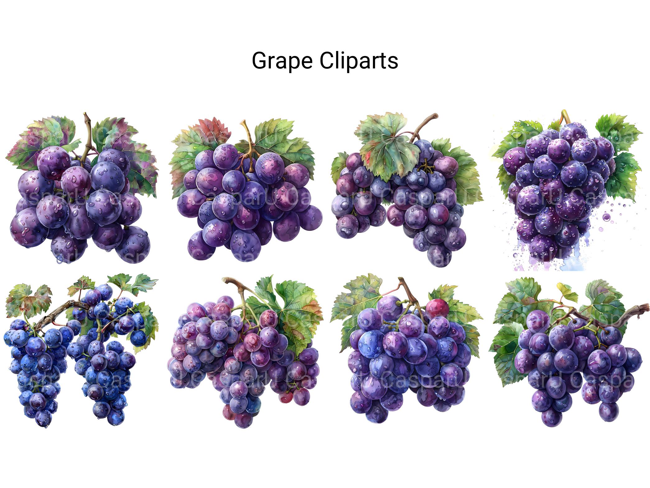 Grape Clipart - CraftNest - Digital Crafting and Art