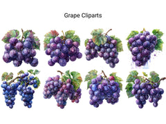 Grape Clipart - CraftNest - Digital Crafting and Art