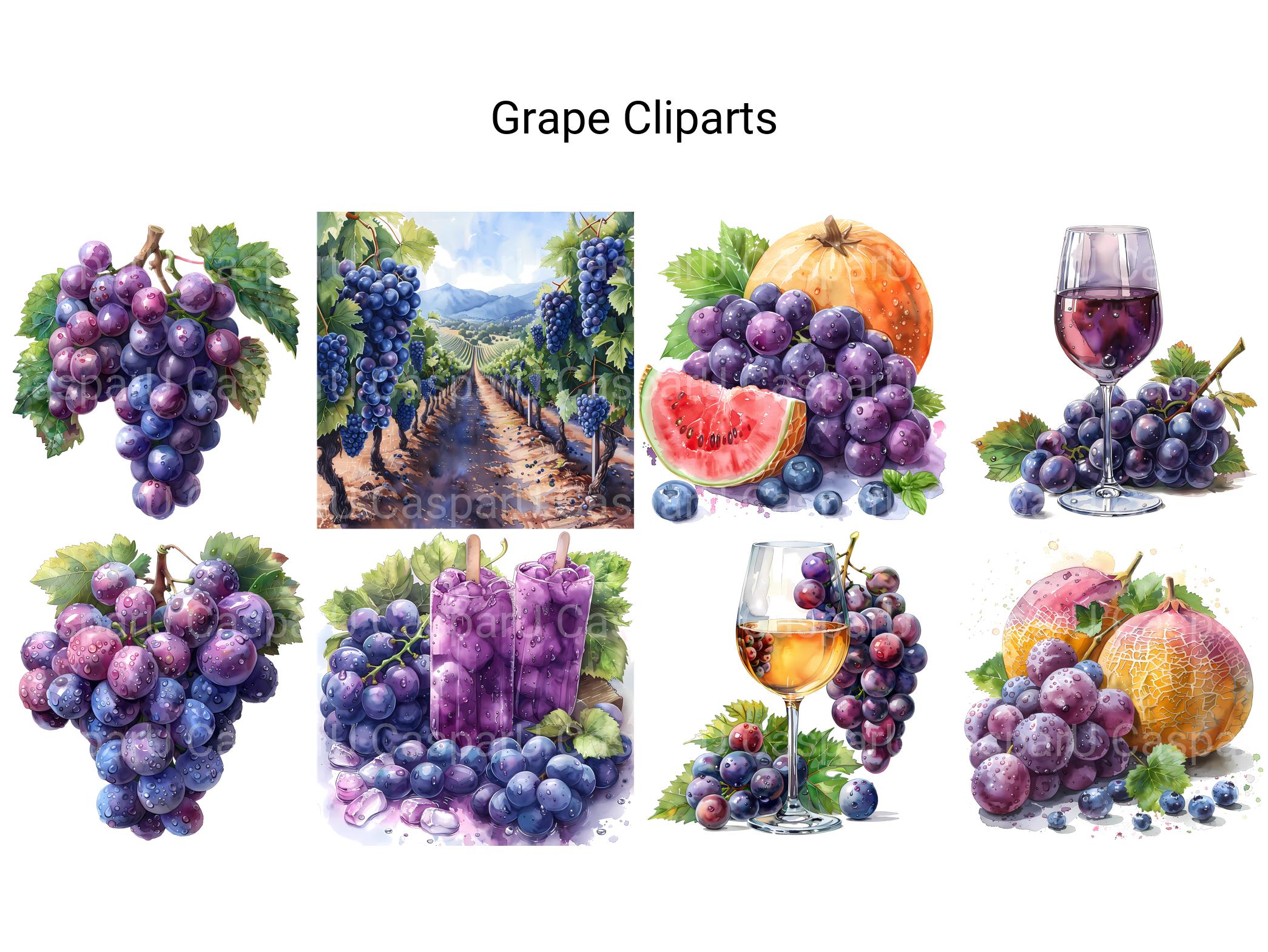 Grape Clipart - CraftNest - Digital Crafting and Art