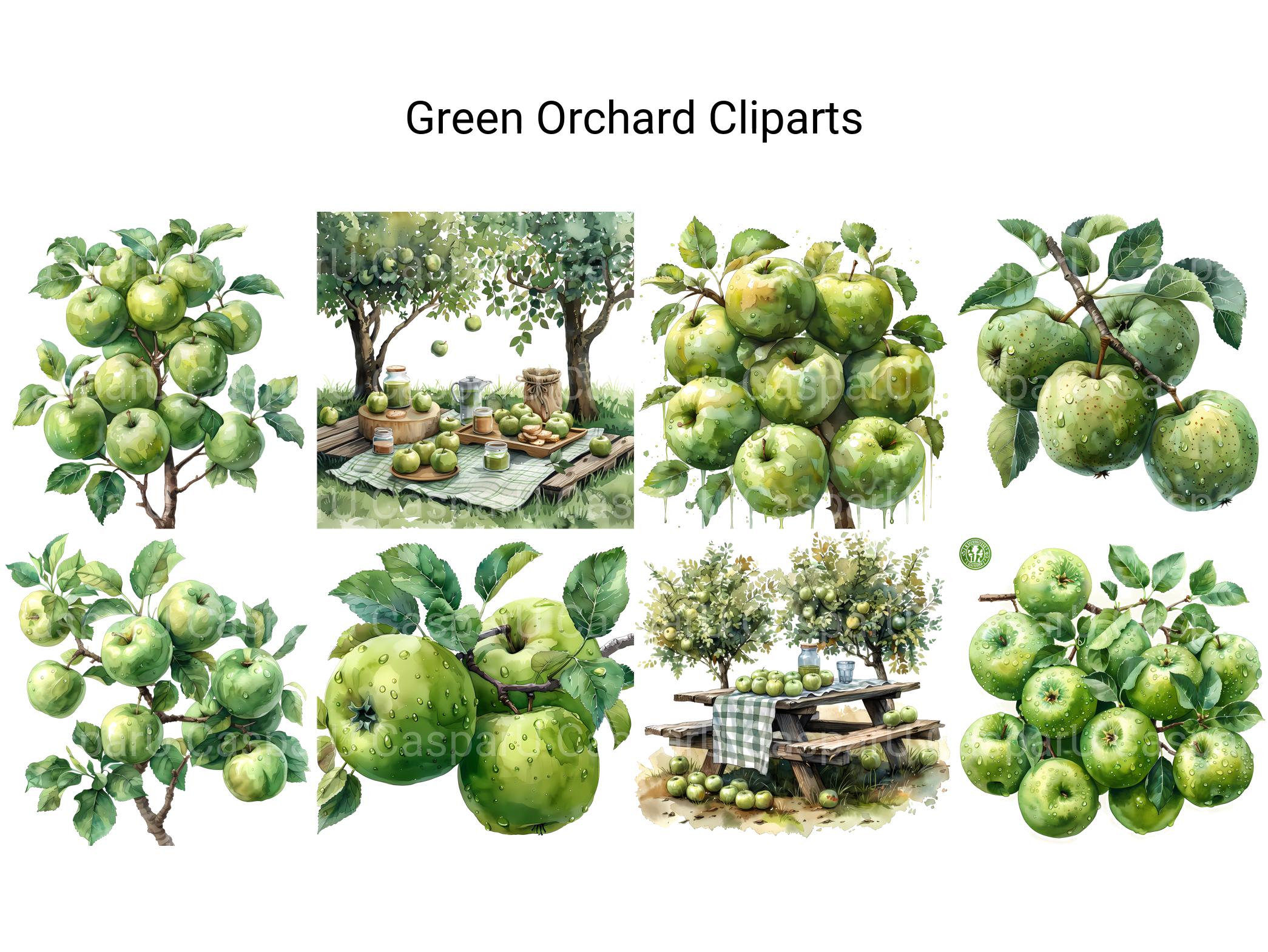 Green Orchard Clipart - CraftNest - Digital Crafting and Art