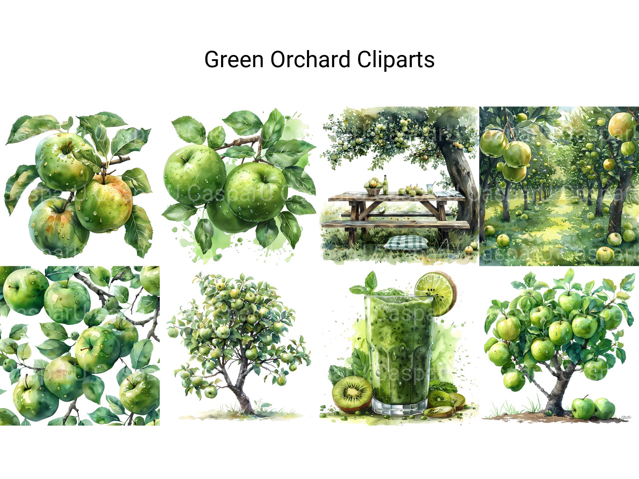 Green Orchard Clipart - CraftNest - Digital Crafting and Art