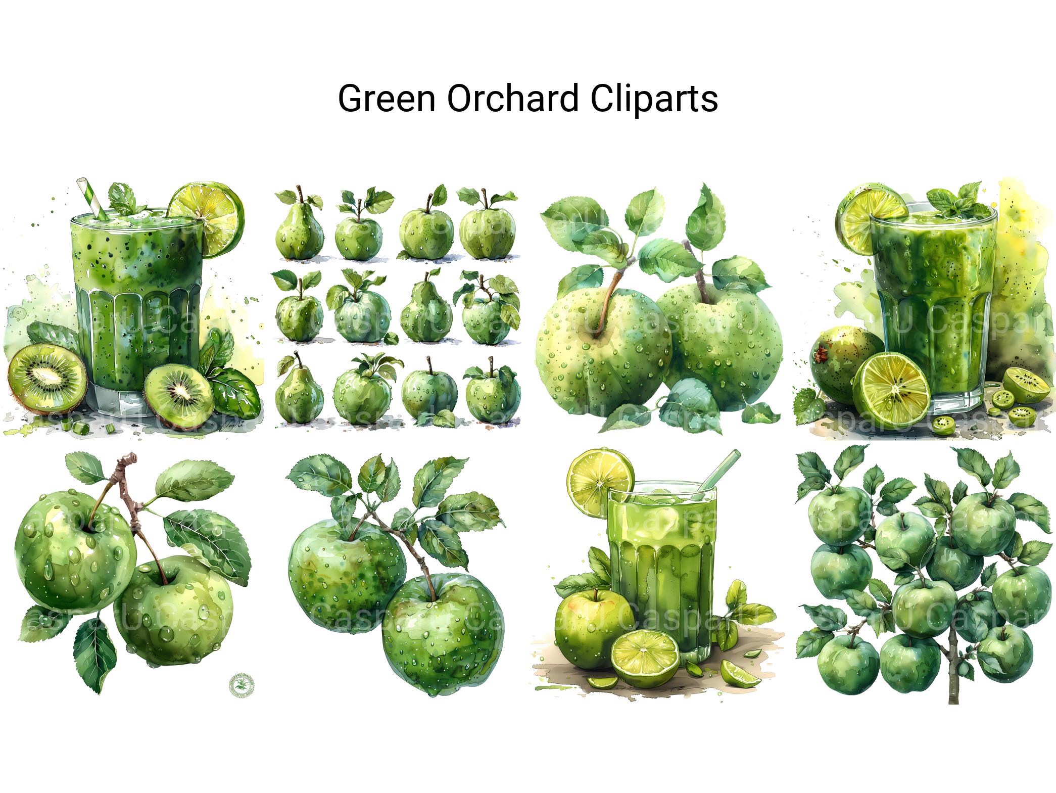 Green Orchard Clipart - CraftNest - Digital Crafting and Art