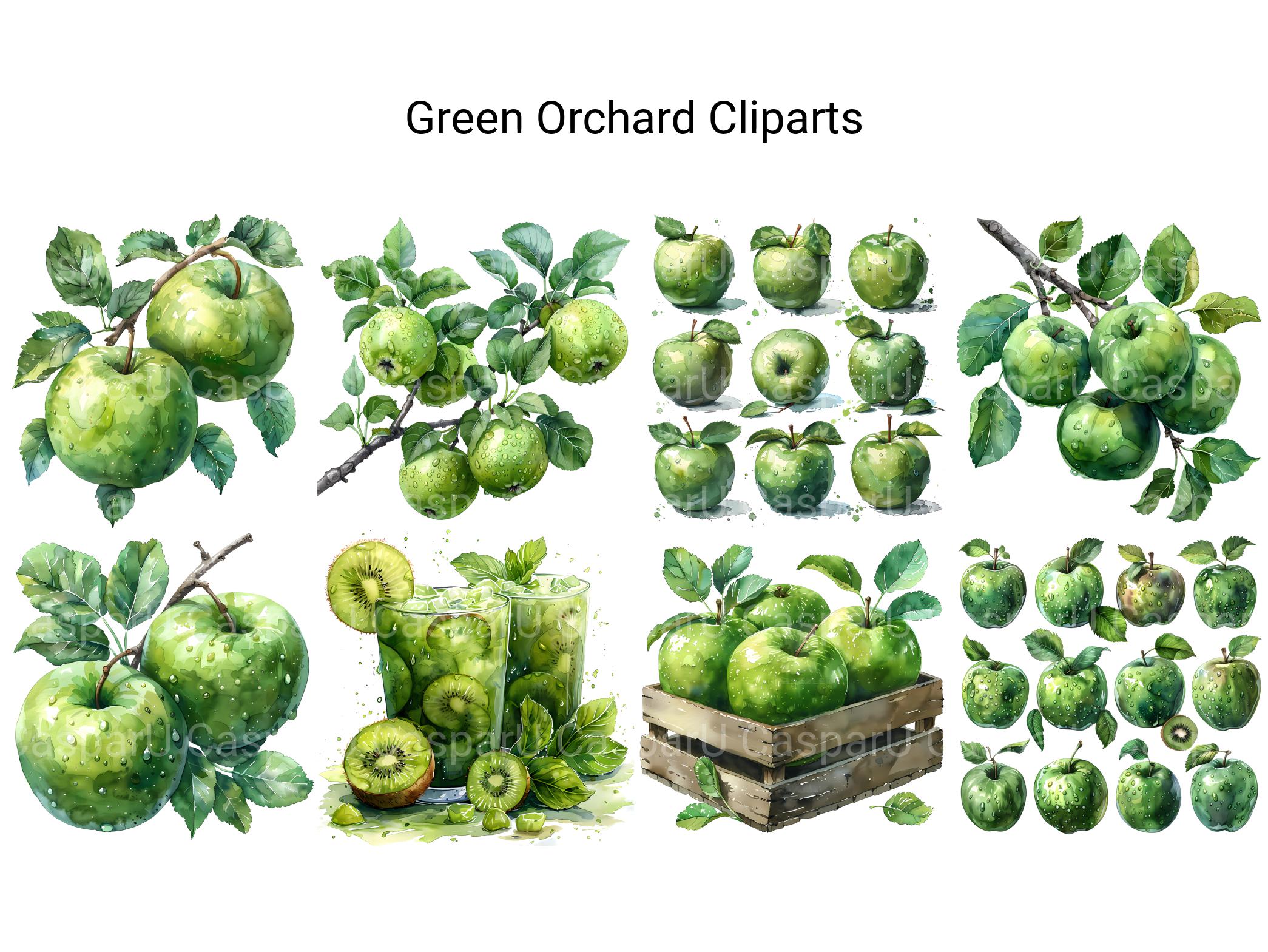 Green Orchard Clipart - CraftNest - Digital Crafting and Art