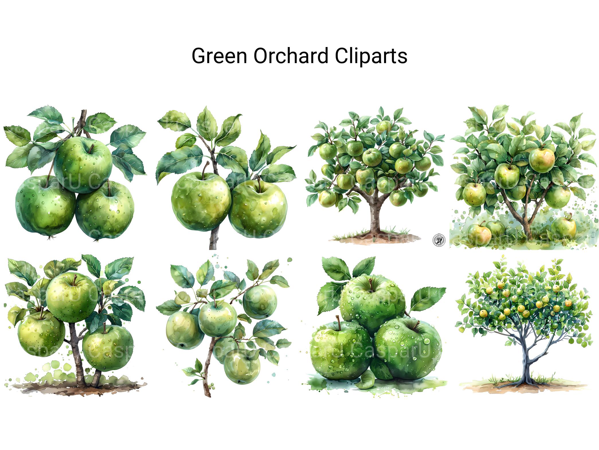 Green Orchard Clipart - CraftNest - Digital Crafting and Art