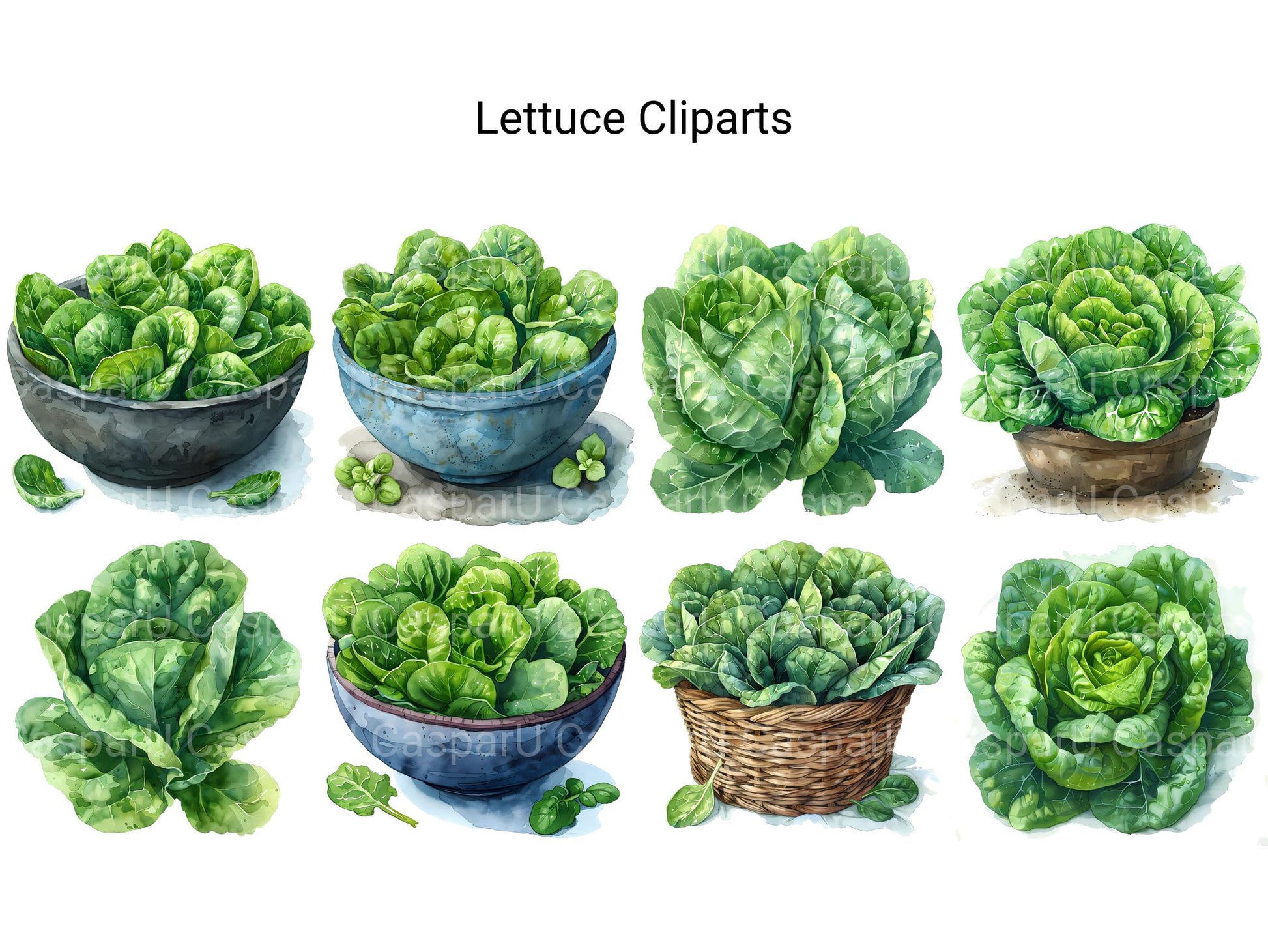 Lettuce Clipart - CraftNest - Digital Crafting and Art