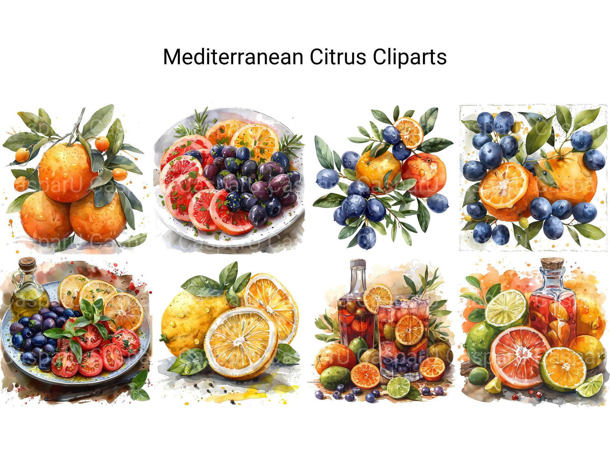 Mediterranean Citrus Clipart - CraftNest - Digital Crafting and Art