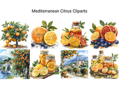 Mediterranean Citrus Clipart - CraftNest - Digital Crafting and Art