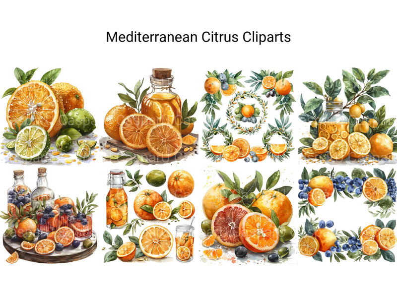 Mediterranean Citrus Clipart - CraftNest - Digital Crafting and Art