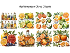 Mediterranean Citrus Clipart - CraftNest - Digital Crafting and Art