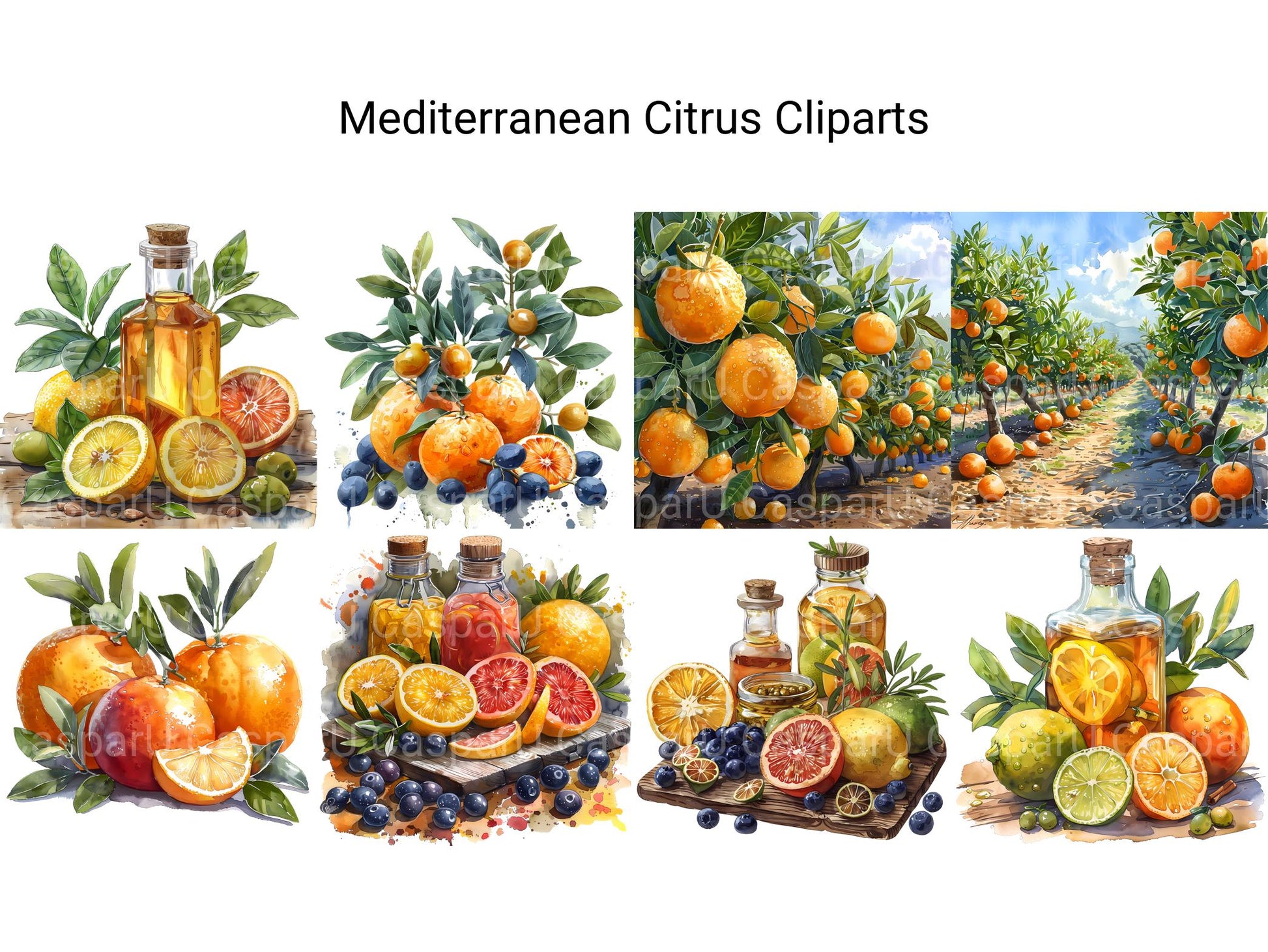 Mediterranean Citrus Clipart - CraftNest - Digital Crafting and Art