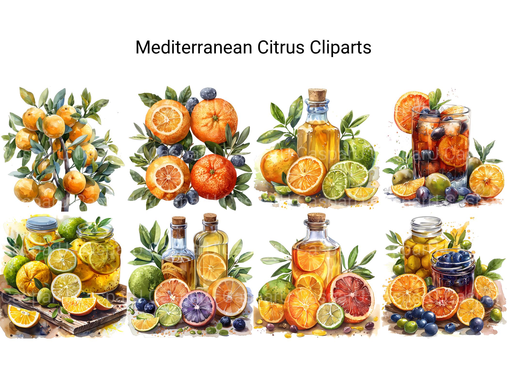 Mediterranean Citrus Clipart - CraftNest - Digital Crafting and Art