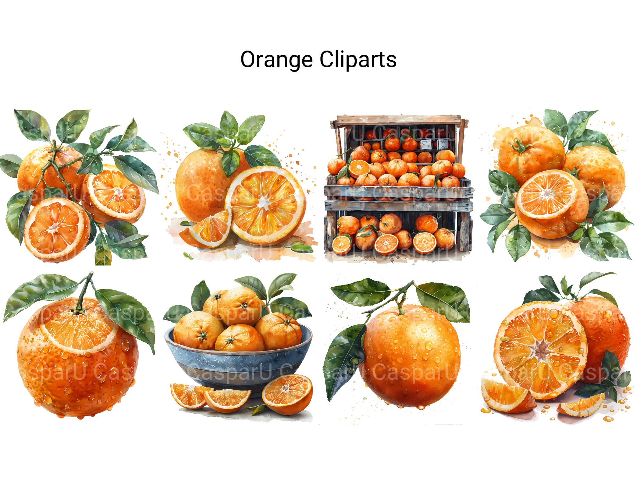 Orange Clipart - CraftNest - Digital Crafting and Art