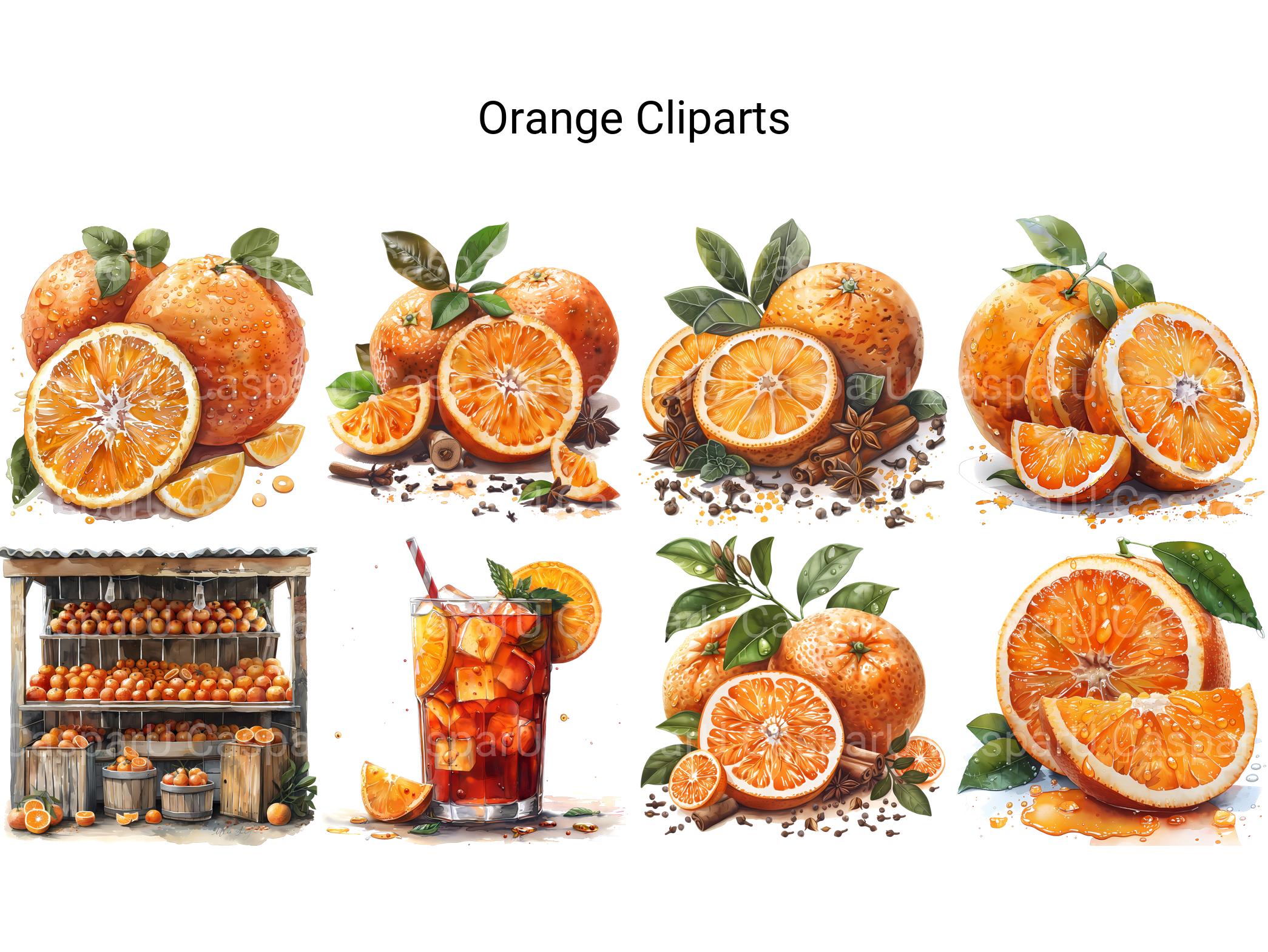 Orange Clipart - CraftNest - Digital Crafting and Art