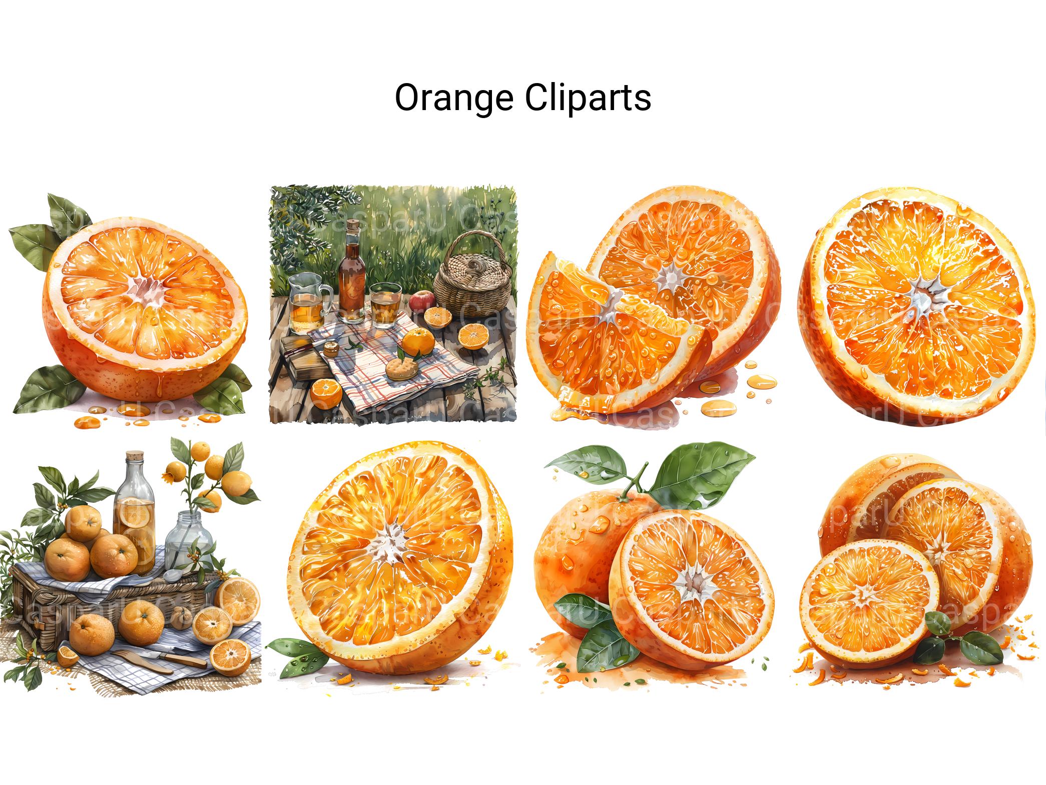 Orange Clipart - CraftNest - Digital Crafting and Art