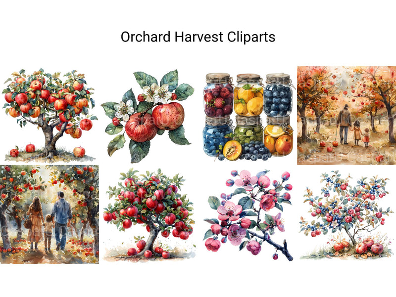 Orchard Harvest Clipart - CraftNest - Digital Crafting and Art