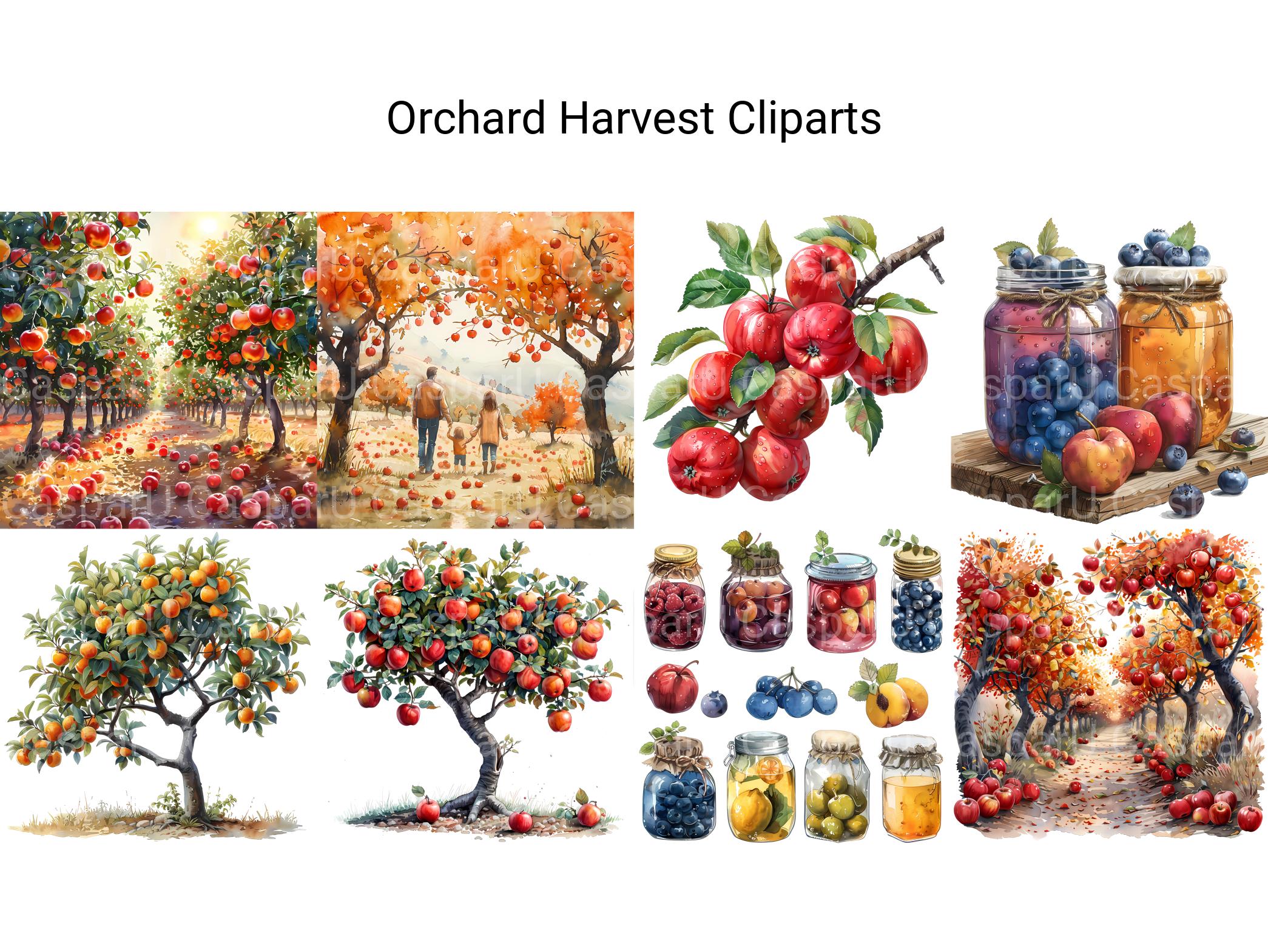 Orchard Harvest Clipart - CraftNest - Digital Crafting and Art