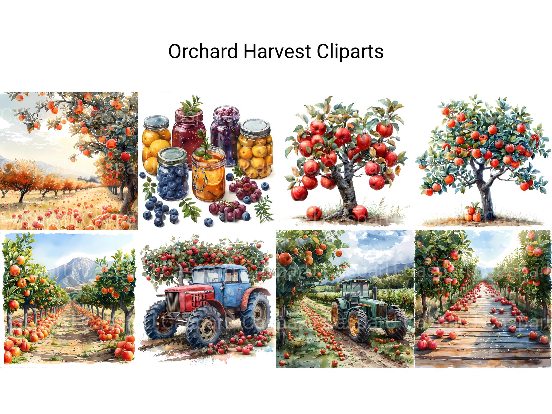 Orchard Harvest Clipart - CraftNest - Digital Crafting and Art