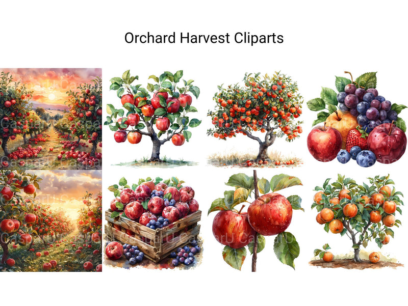 Orchard Harvest Clipart - CraftNest - Digital Crafting and Art