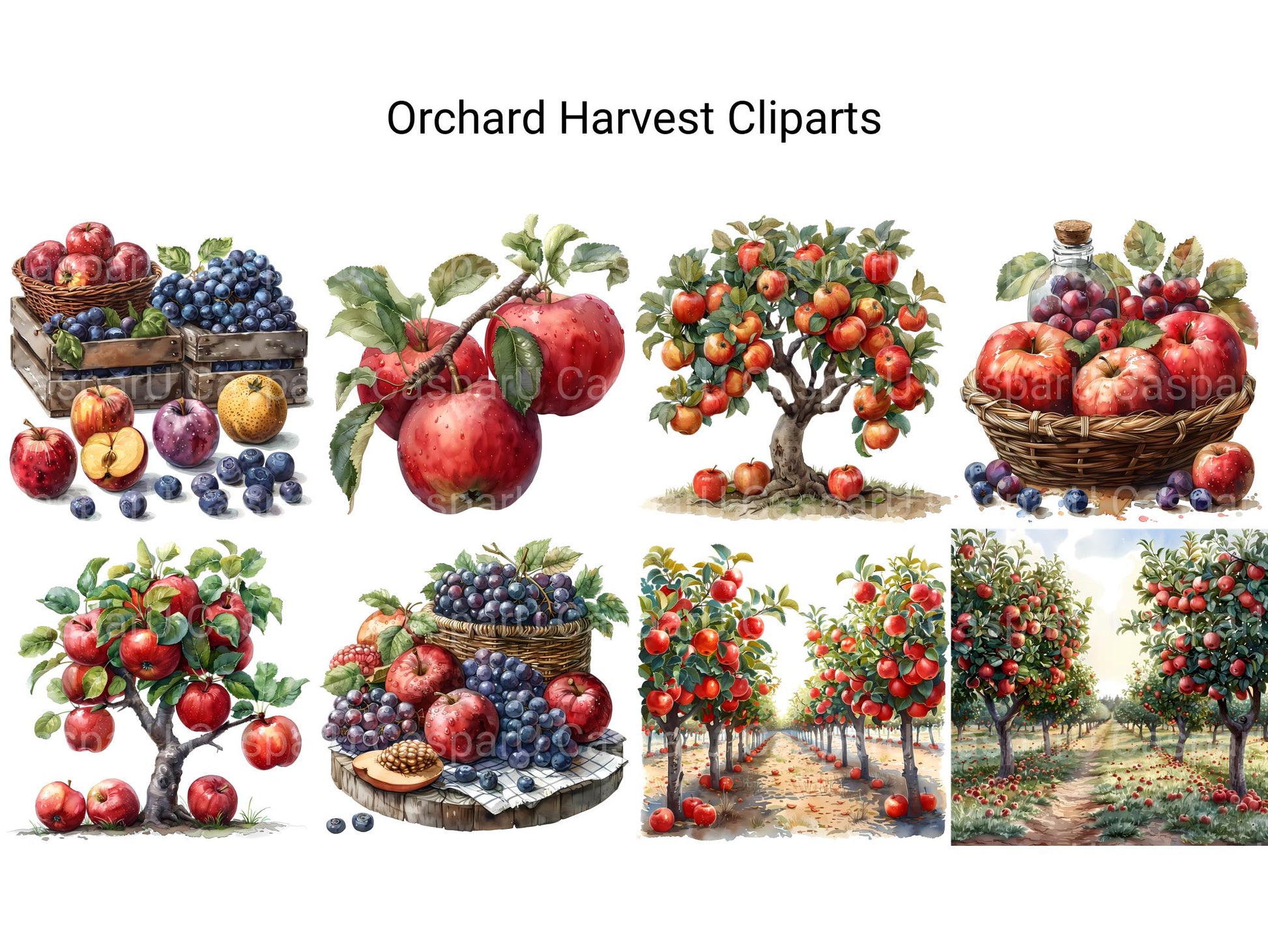 Orchard Harvest Clipart - CraftNest - Digital Crafting and Art