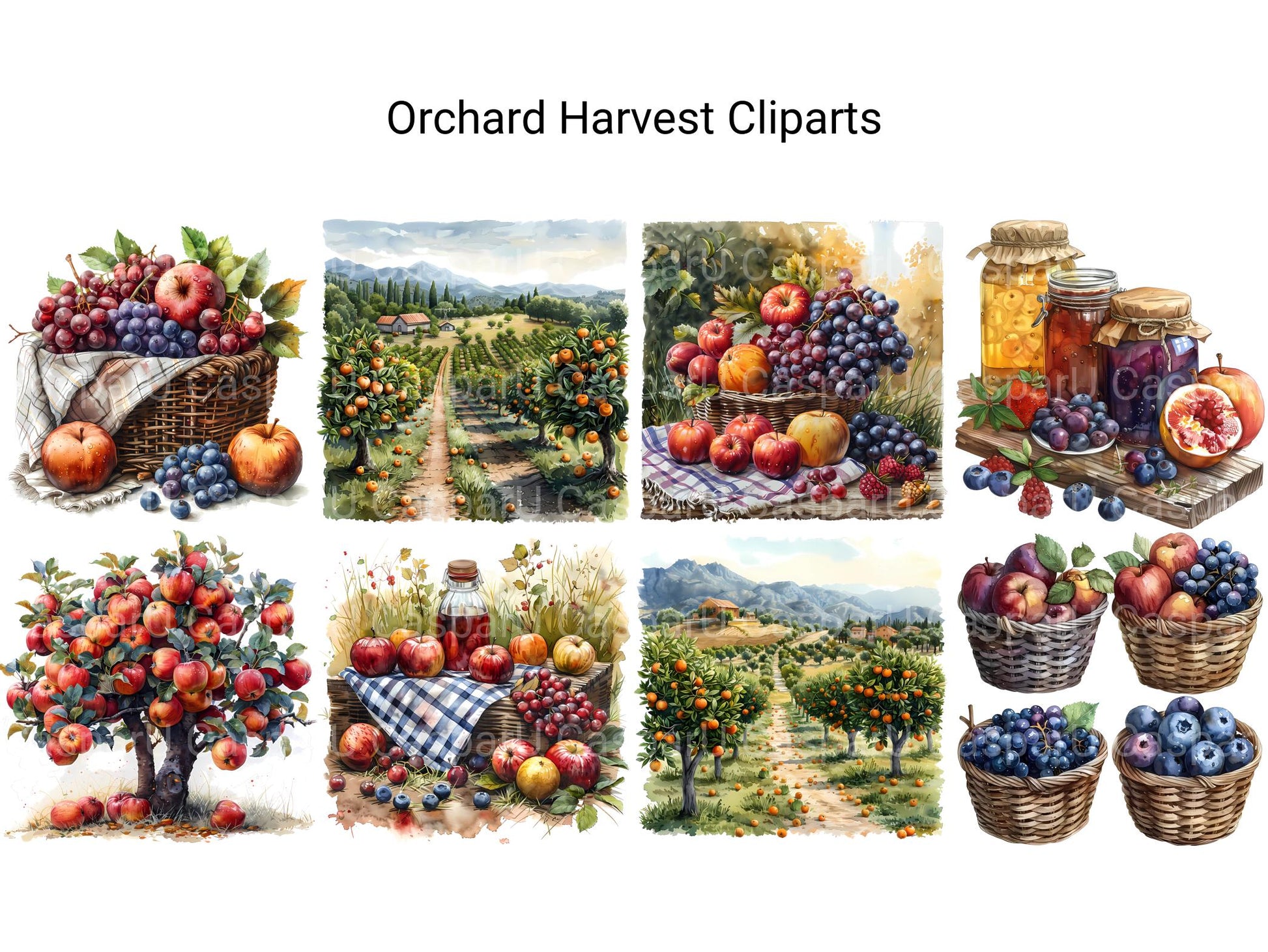 Orchard Harvest Clipart - CraftNest - Digital Crafting and Art