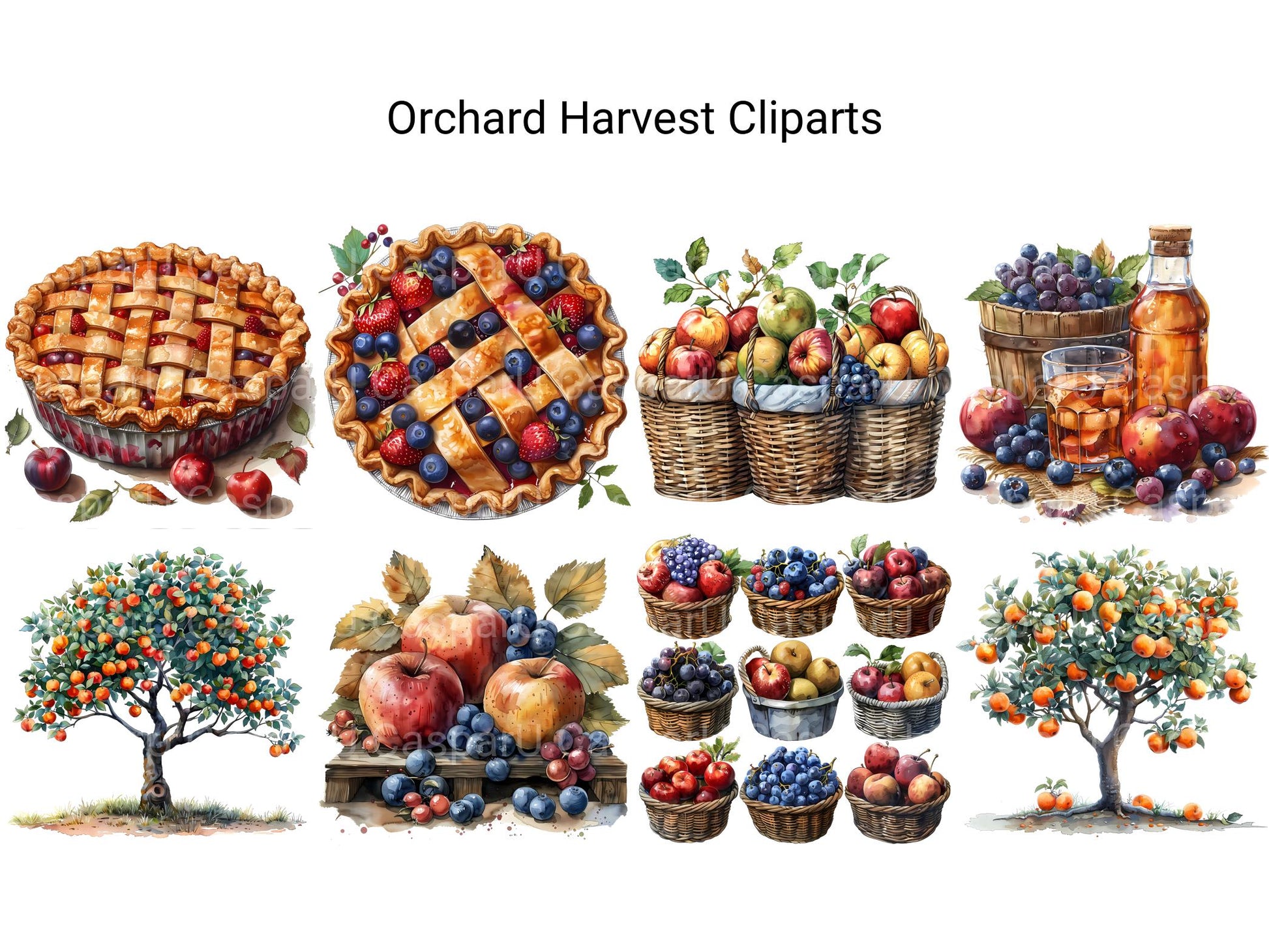 Orchard Harvest Clipart - CraftNest - Digital Crafting and Art