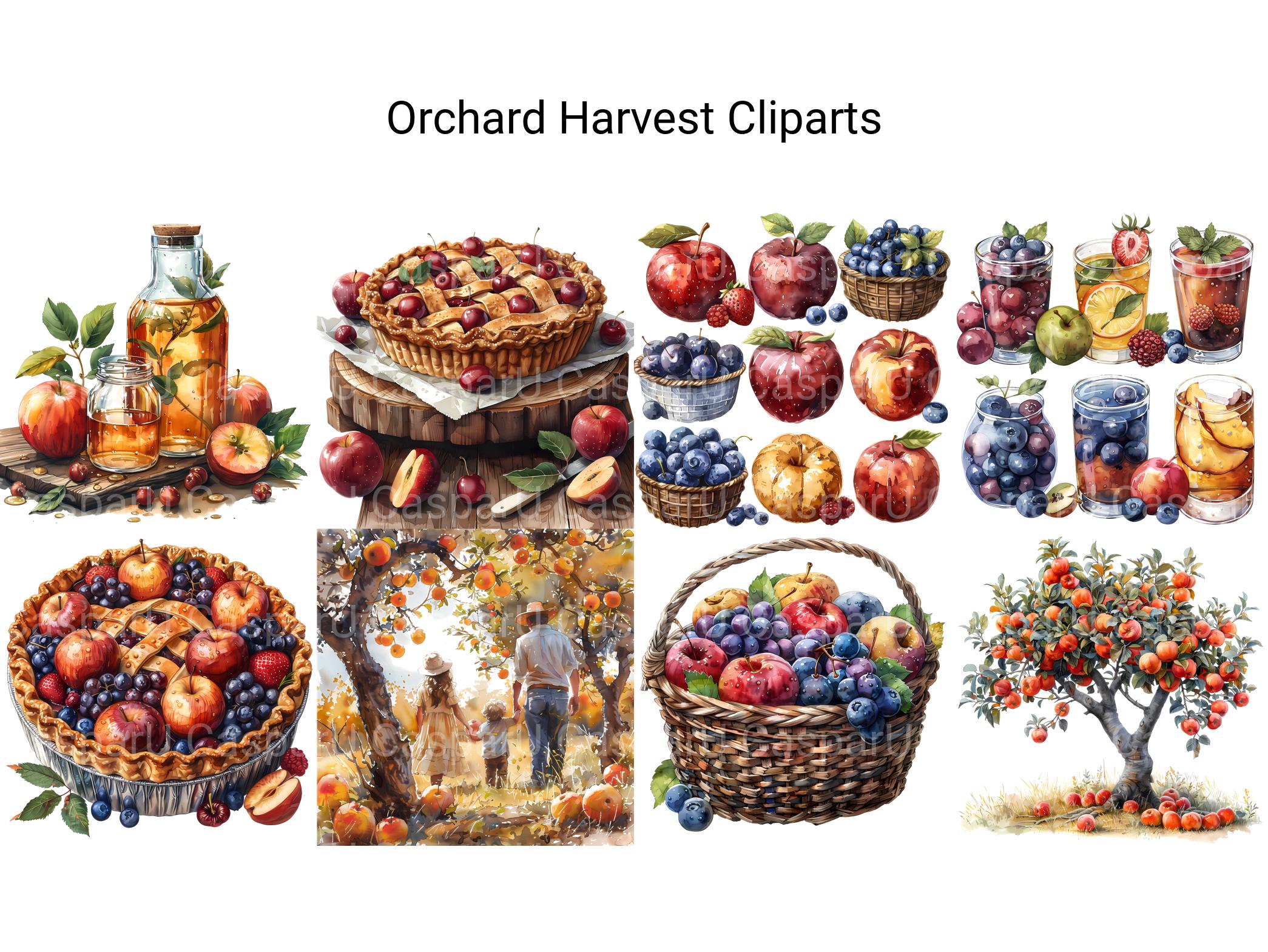 Orchard Harvest Clipart - CraftNest - Digital Crafting and Art