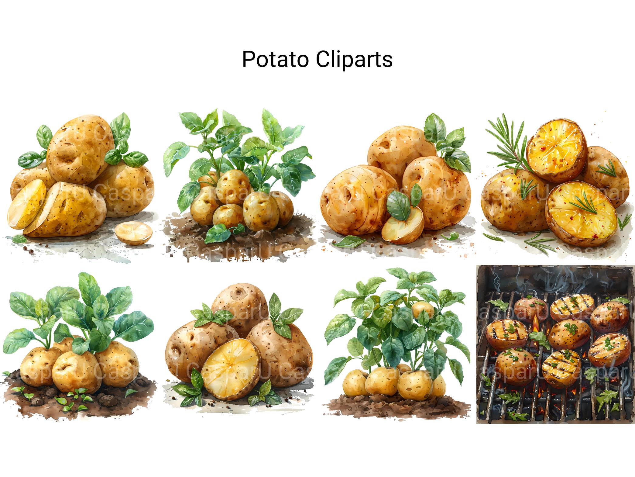 Potato Clipart - CraftNest - Digital Crafting and Art