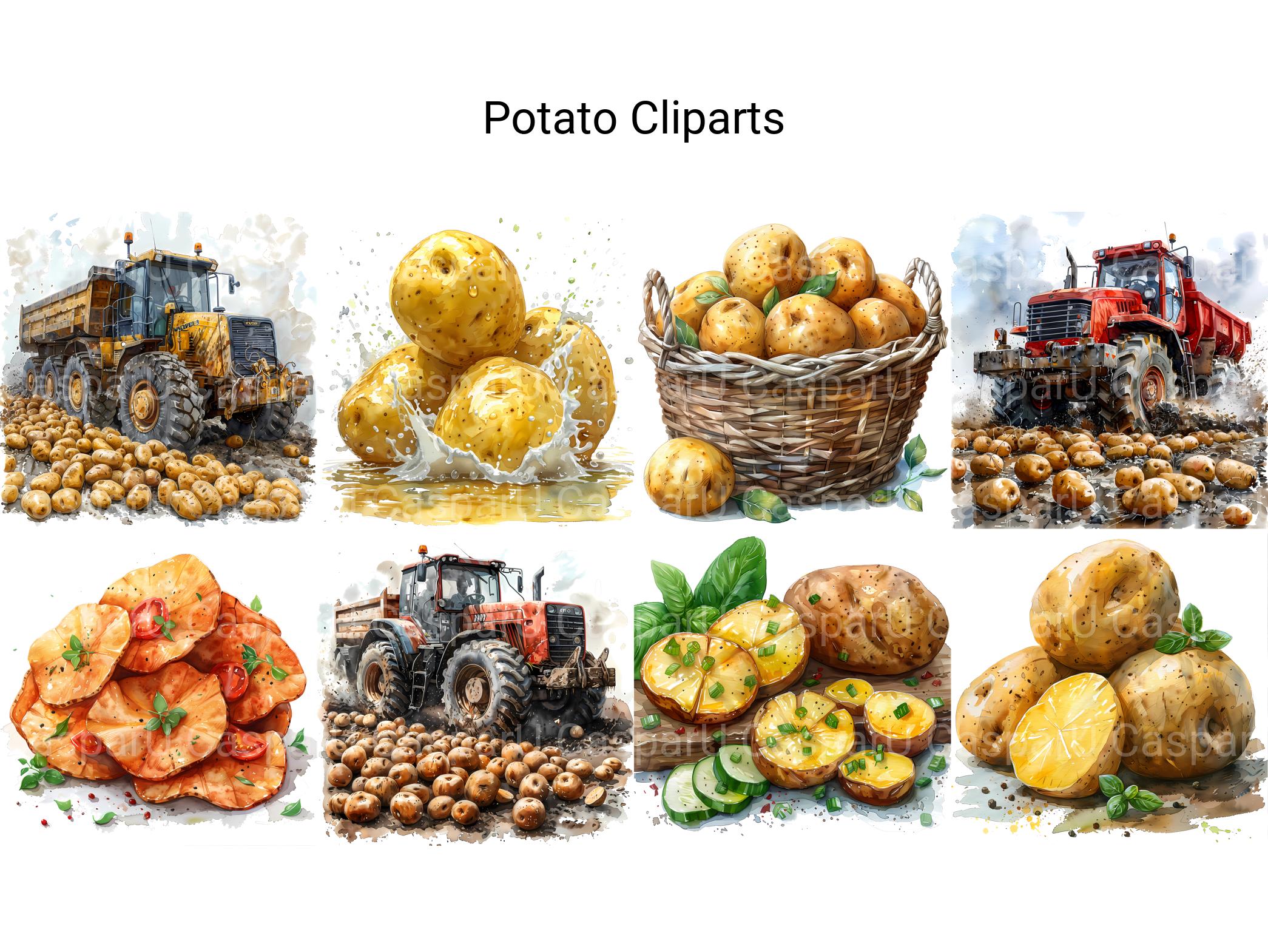 Potato Clipart - CraftNest - Digital Crafting and Art