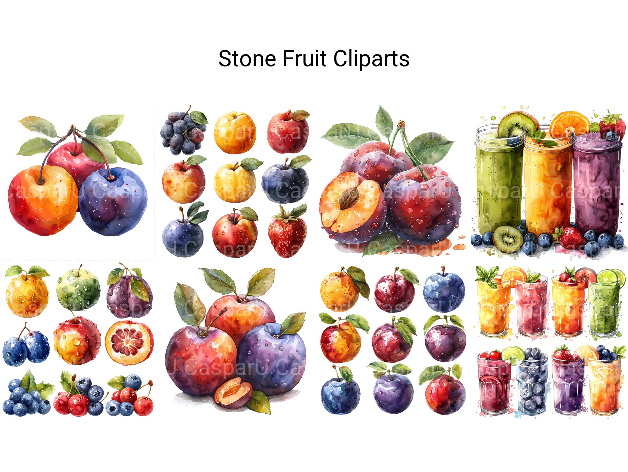 Stone Fruit Clipart - CraftNest - Digital Crafting and Art