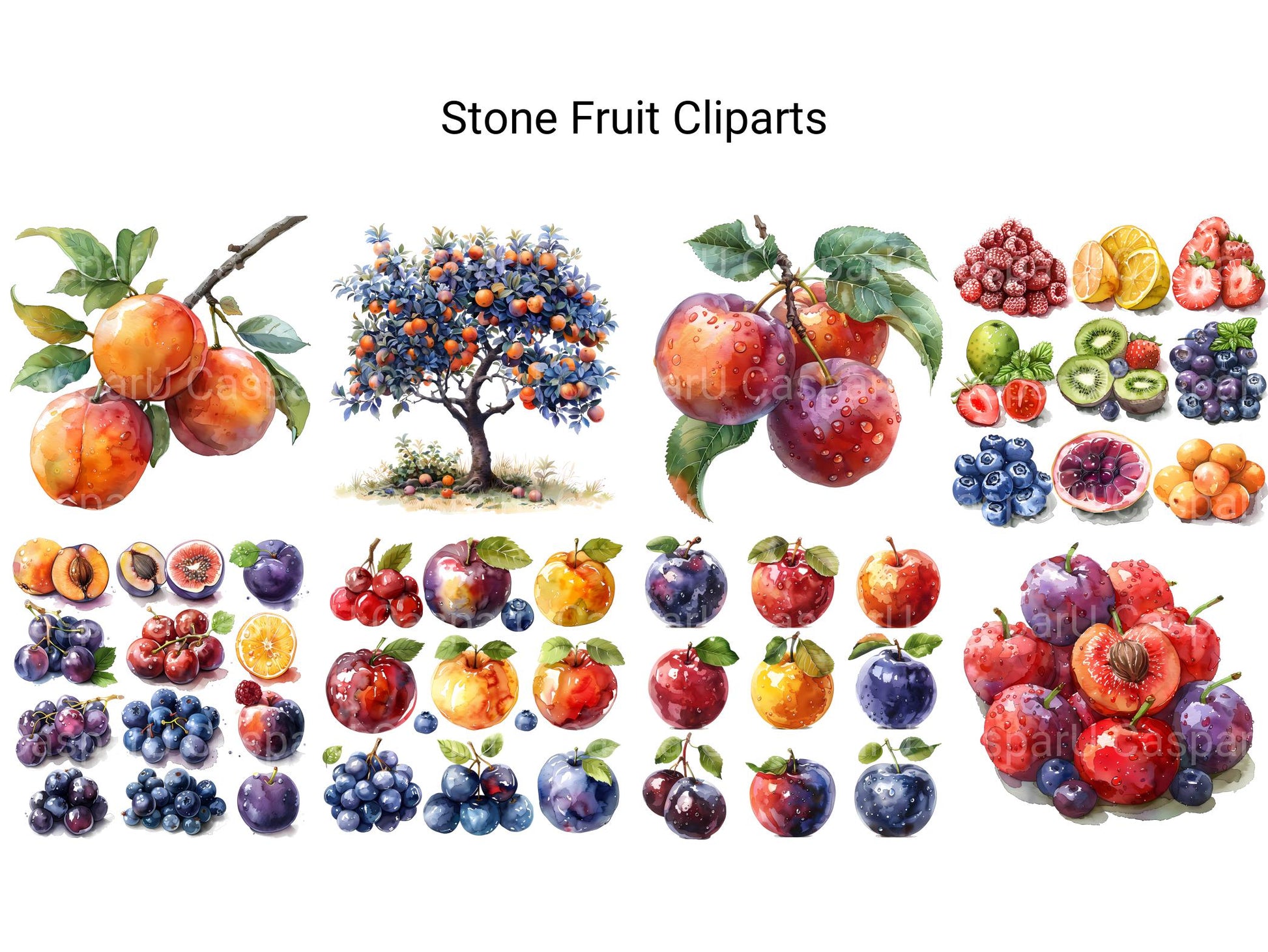 Stone Fruit Clipart - CraftNest - Digital Crafting and Art