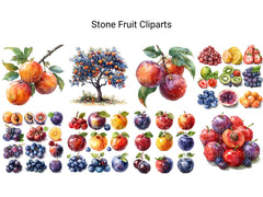 Stone Fruit Clipart - CraftNest - Digital Crafting and Art