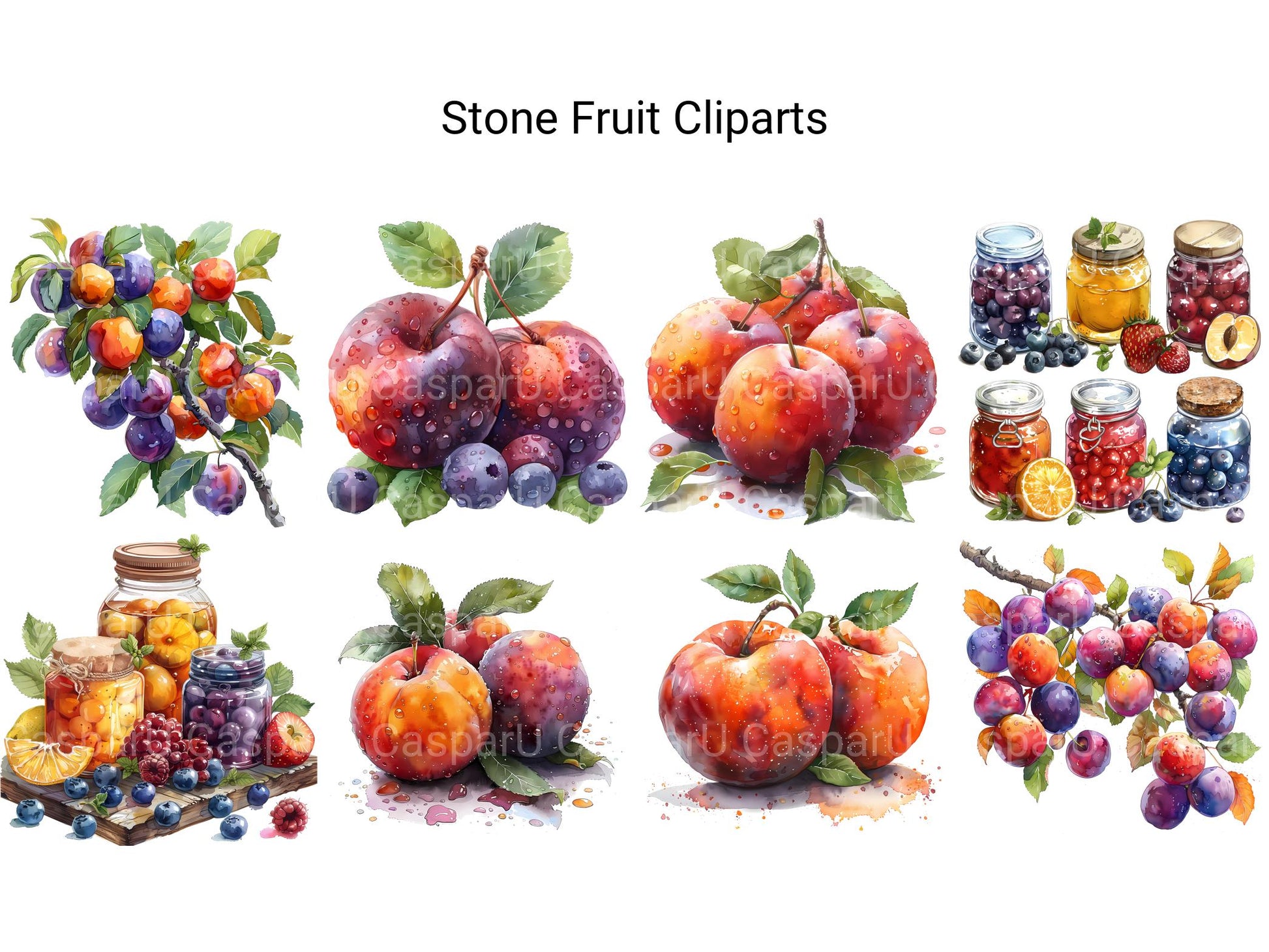 Stone Fruit Clipart - CraftNest - Digital Crafting and Art