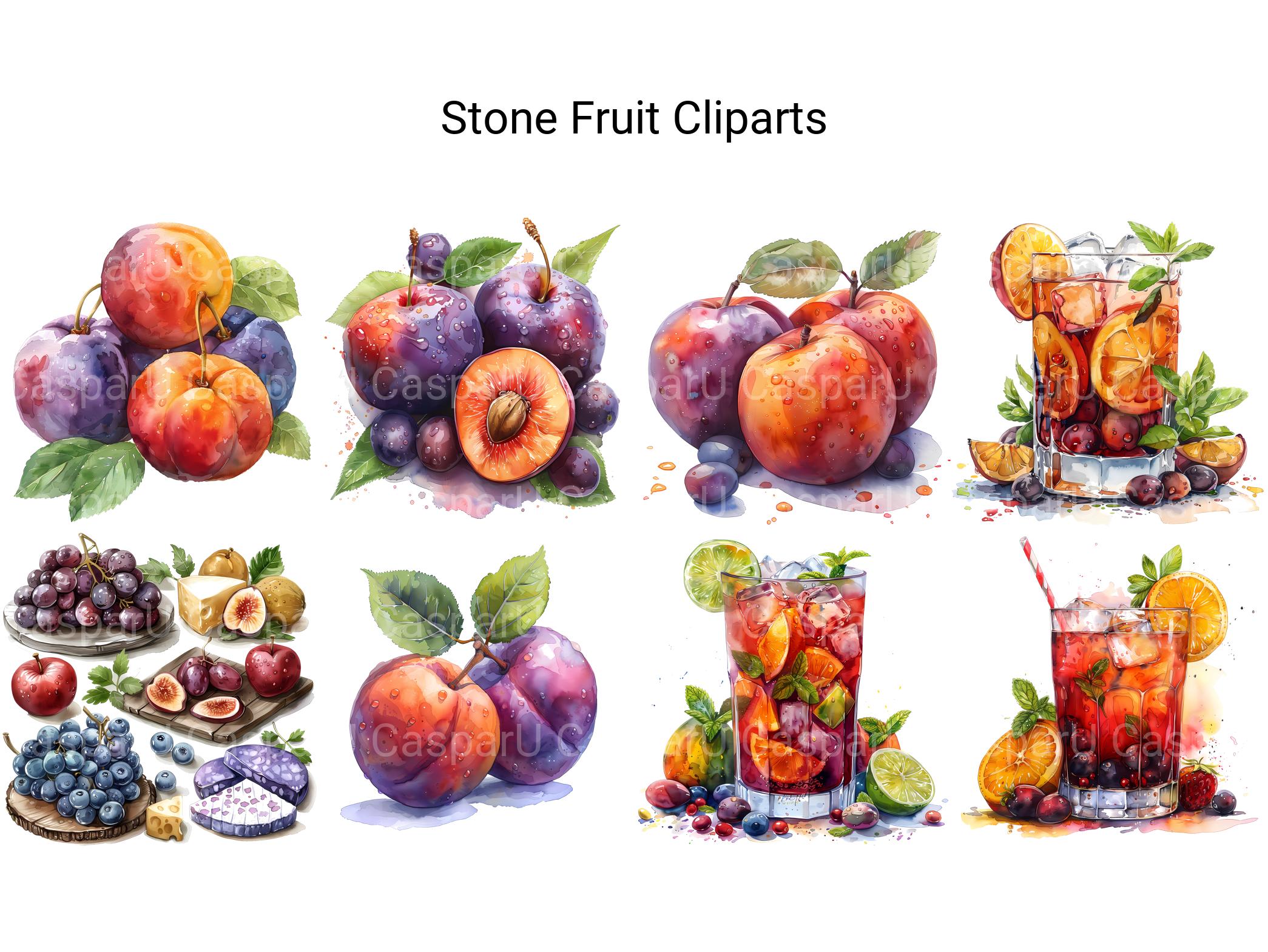 Stone Fruit Clipart - CraftNest - Digital Crafting and Art