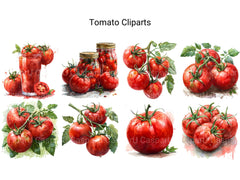 Tomato Clipart - CraftNest - Digital Crafting and Art