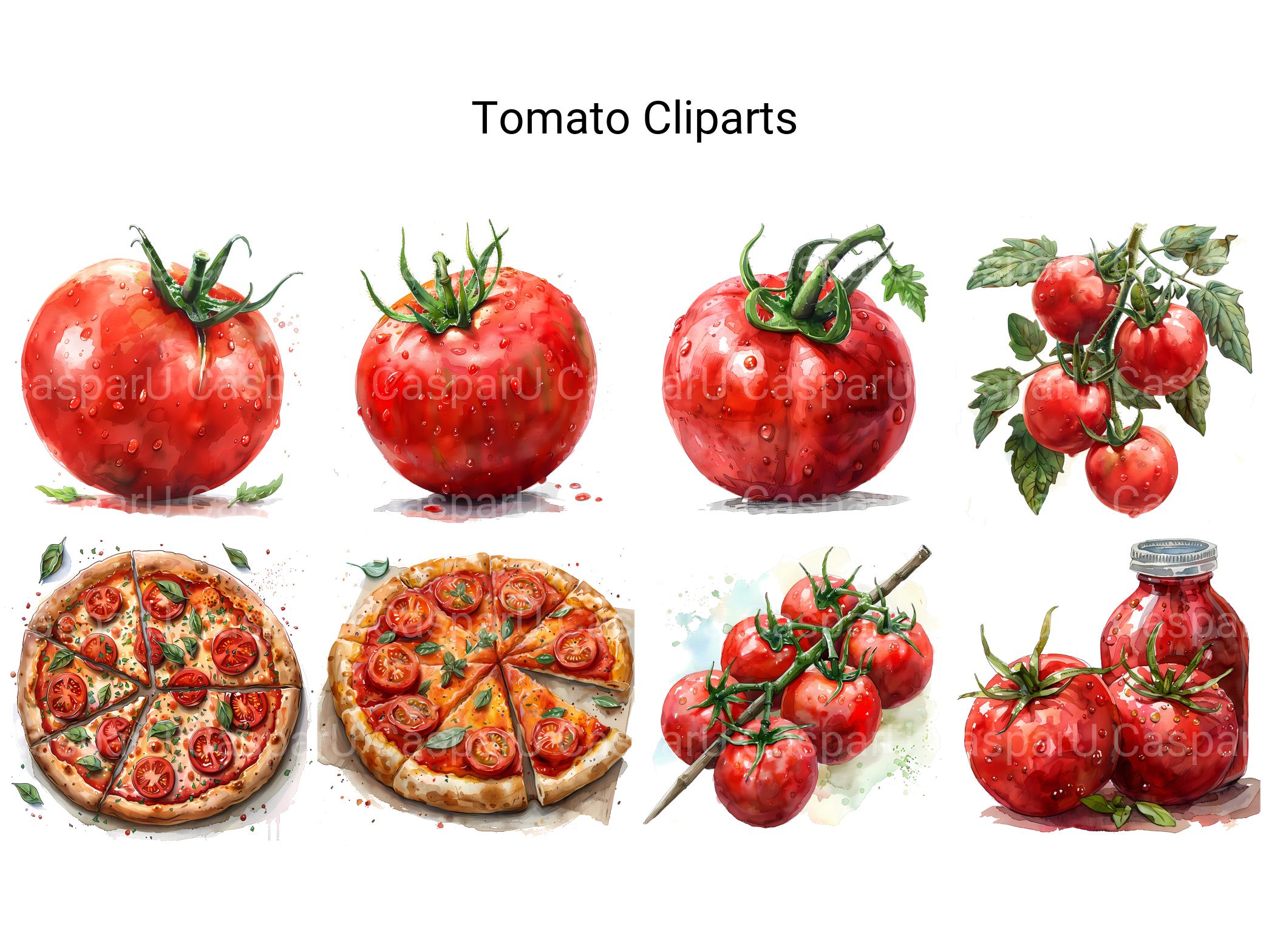 Tomato Clipart - CraftNest - Digital Crafting and Art