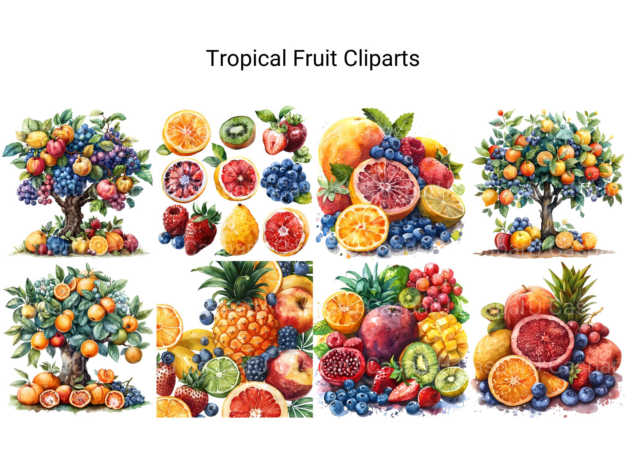 Tropical Fruit Clipart - CraftNest - Digital Crafting and Art