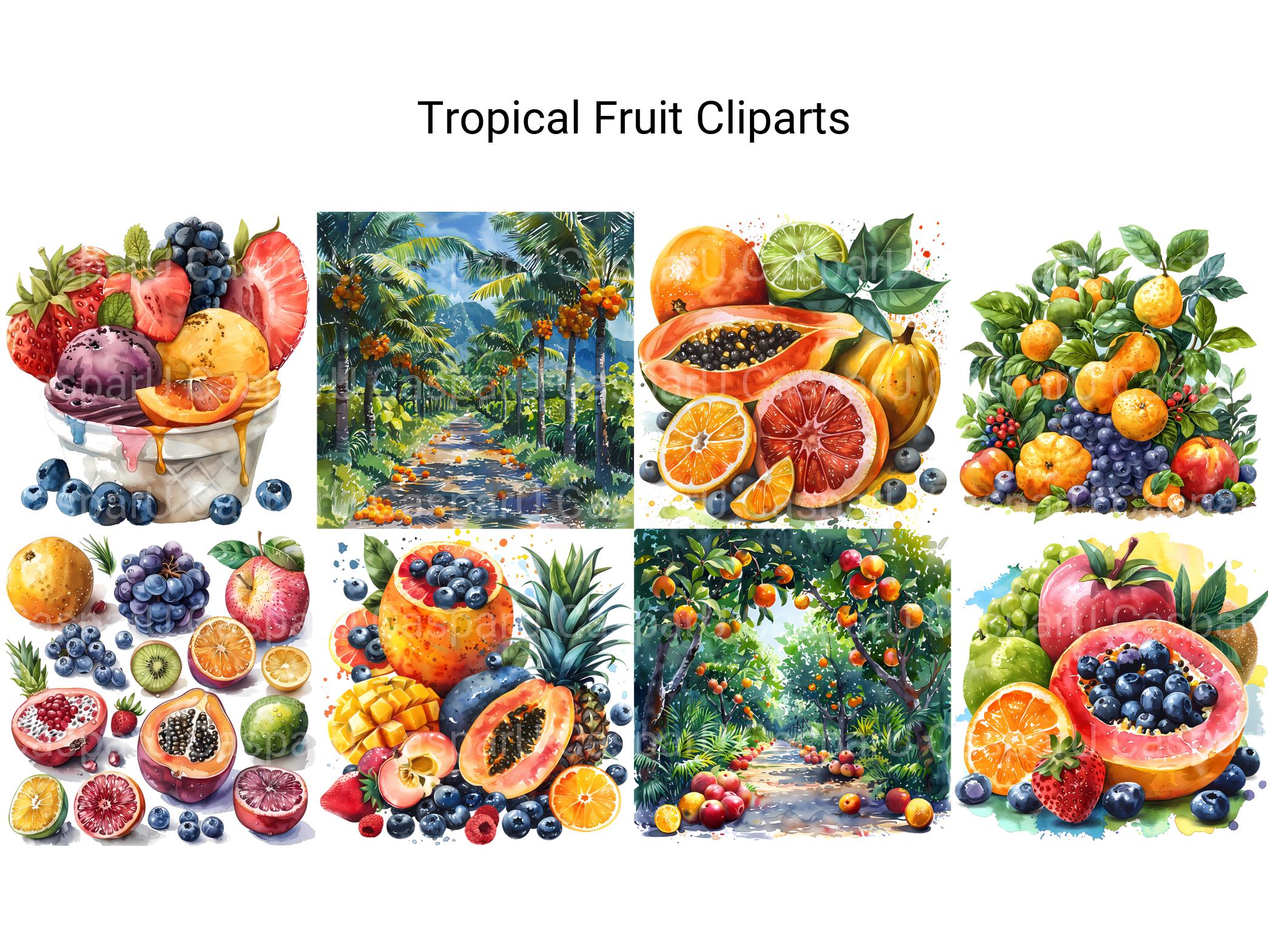 Tropical Fruit Clipart - CraftNest - Digital Crafting and Art